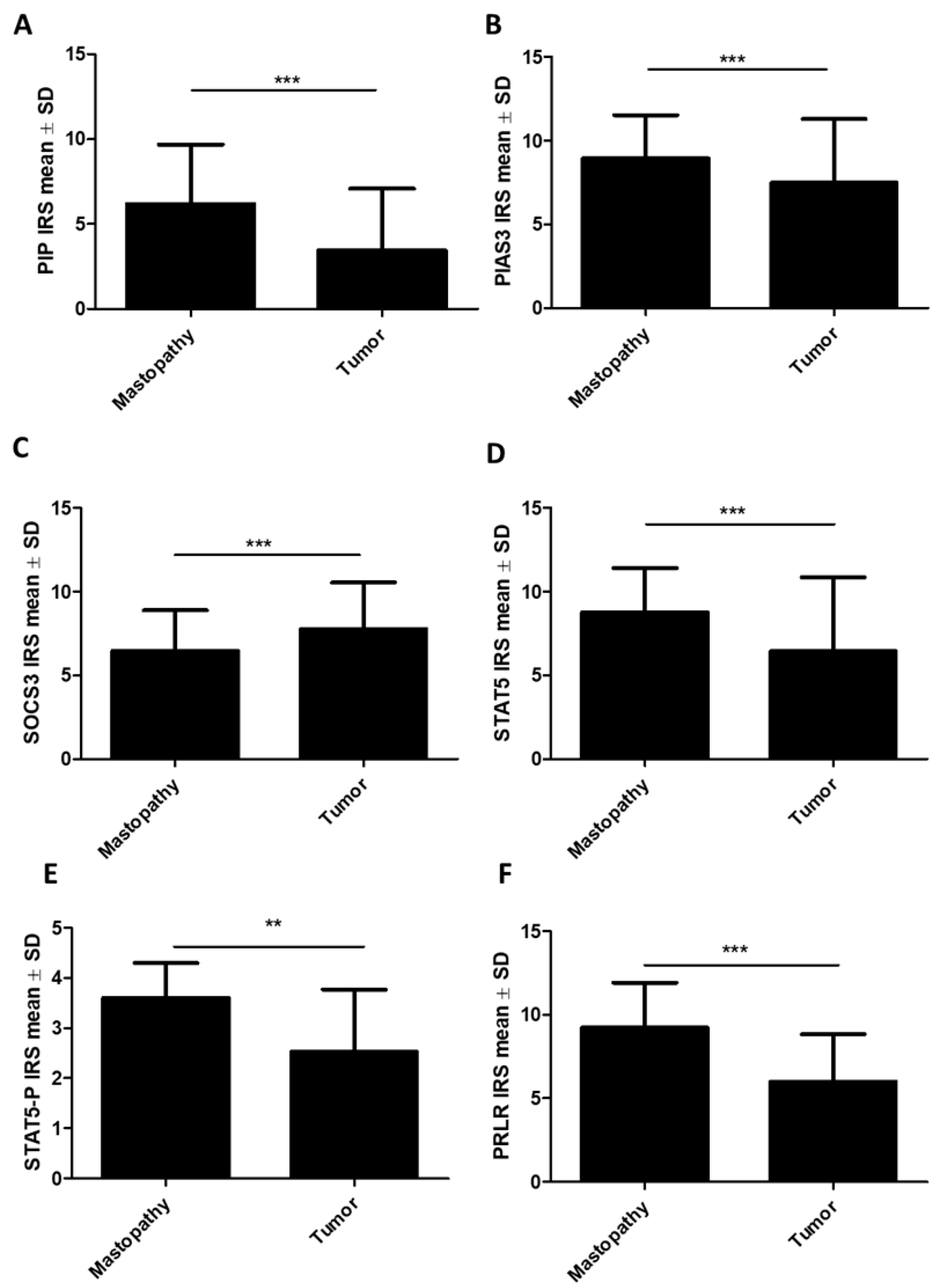 Ijms 26 01416 g002 Ijms 26 01416 g002