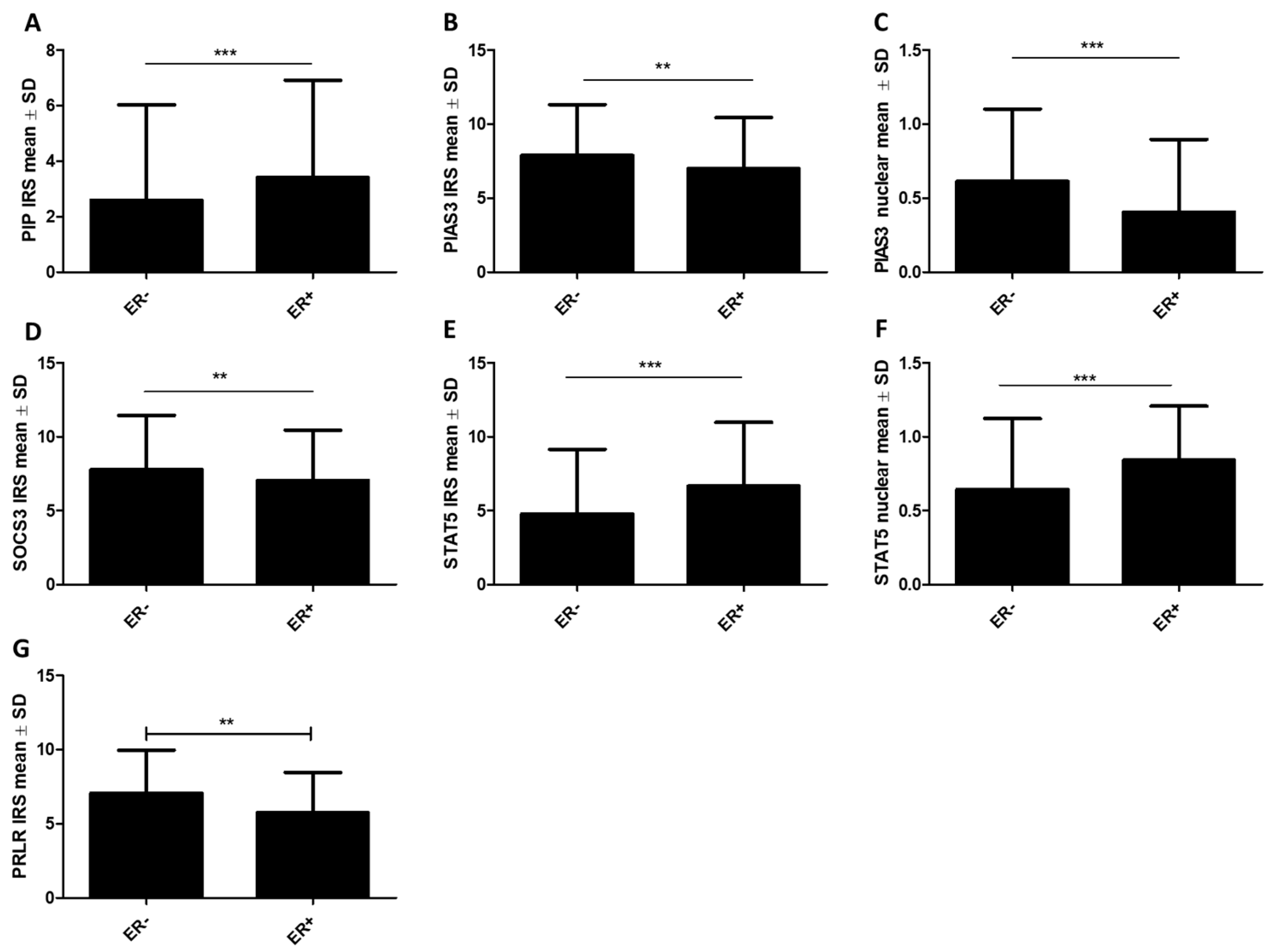 Ijms 26 01416 g004 Ijms 26 01416 g004