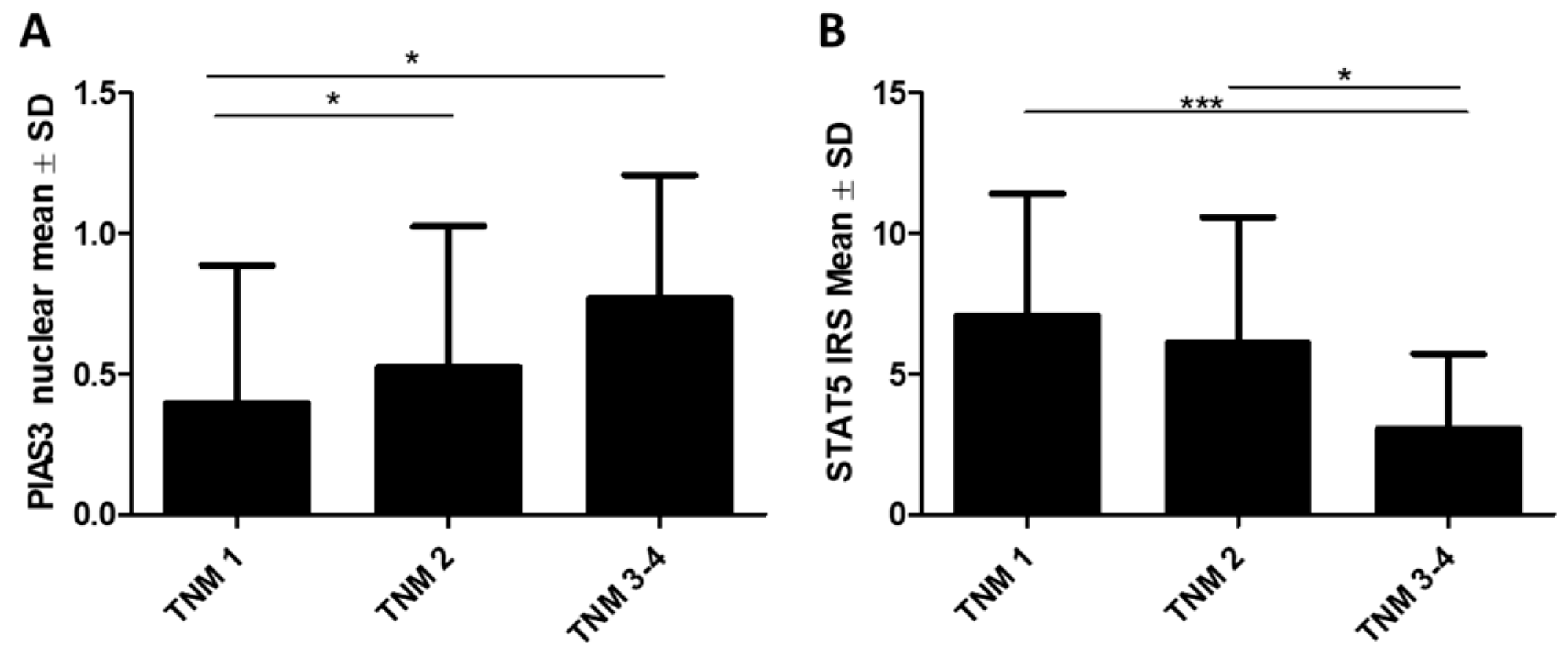 Ijms 26 01416 g008 Ijms 26 01416 g008