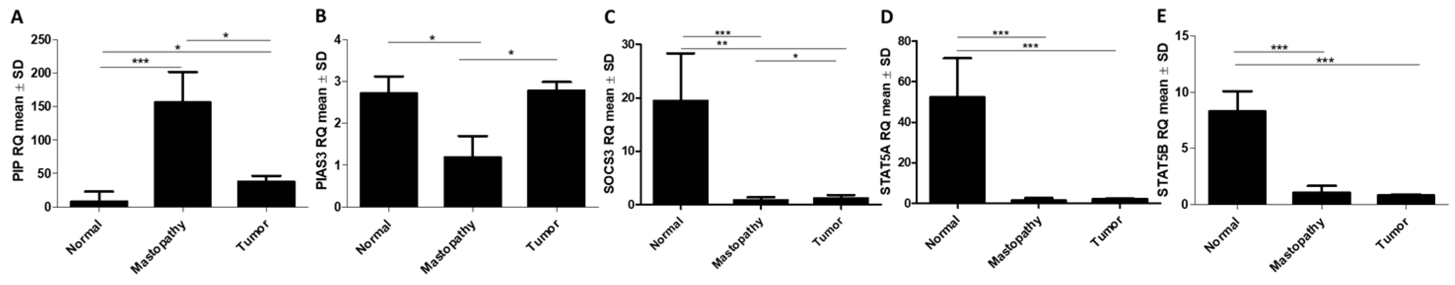 Ijms 26 01416 g011 Ijms 26 01416 g011