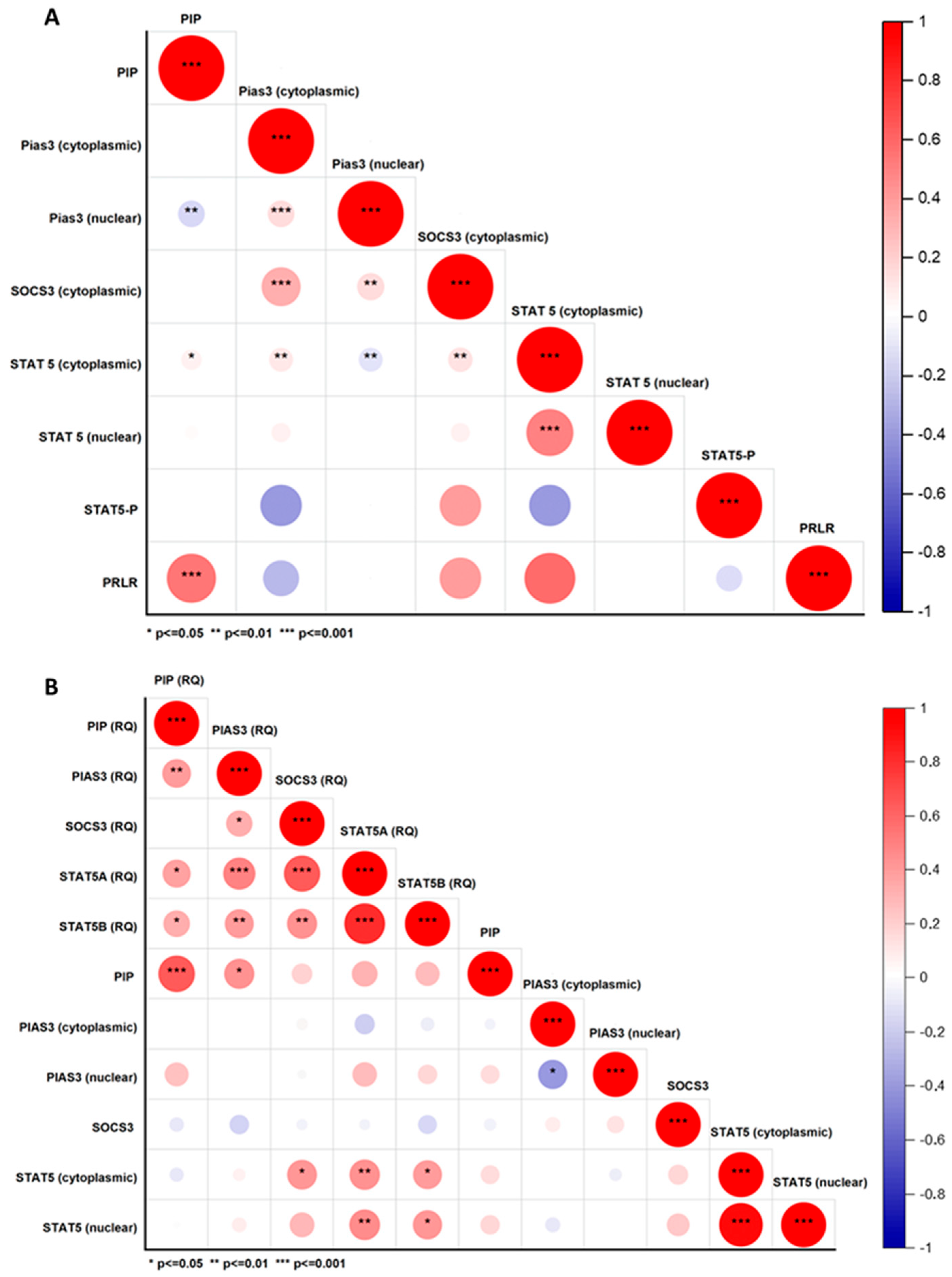 Ijms 26 01416 g013 Ijms 26 01416 g013