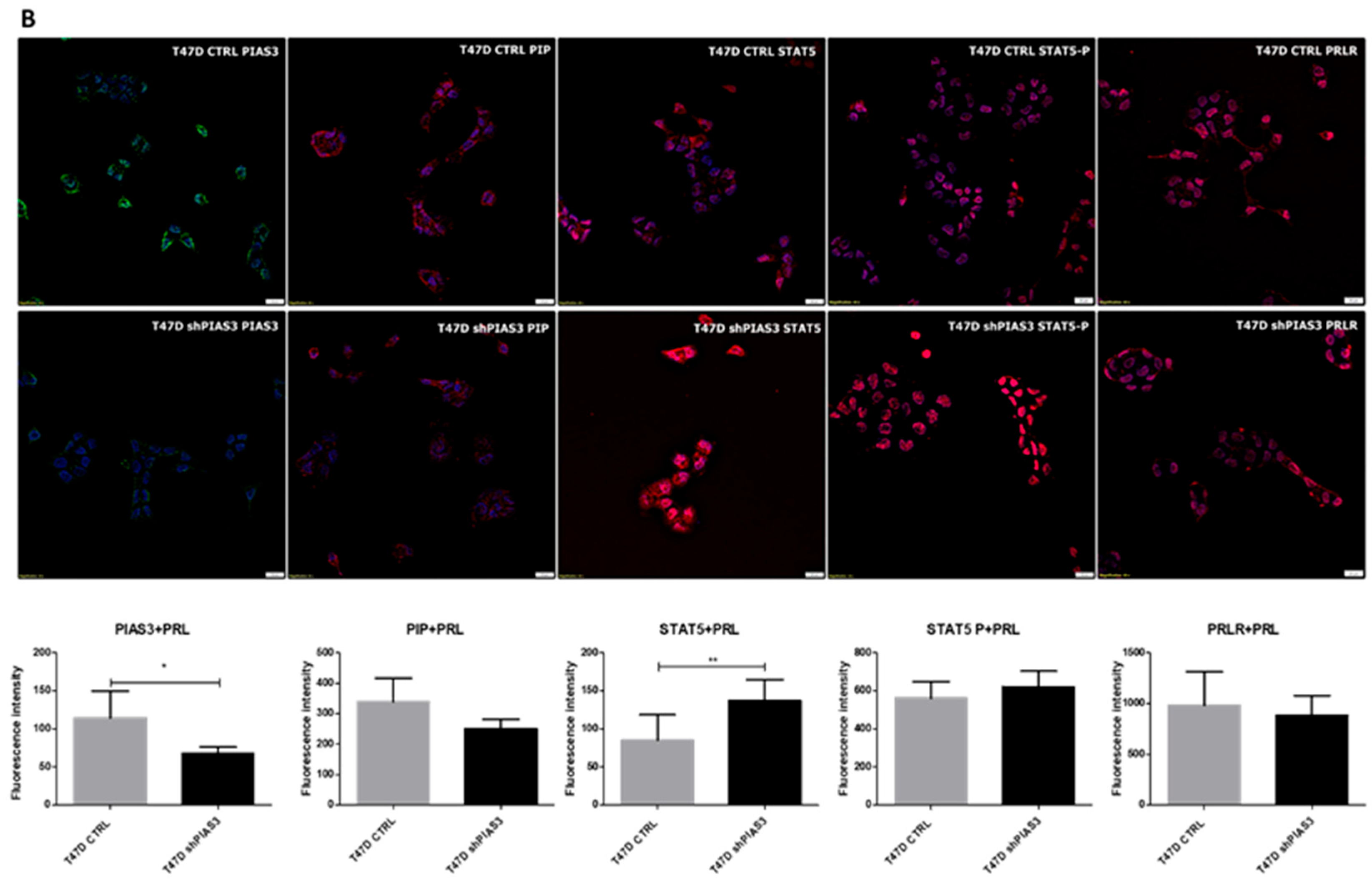 Ijms 26 01416 g014b Ijms 26 01416 g014b