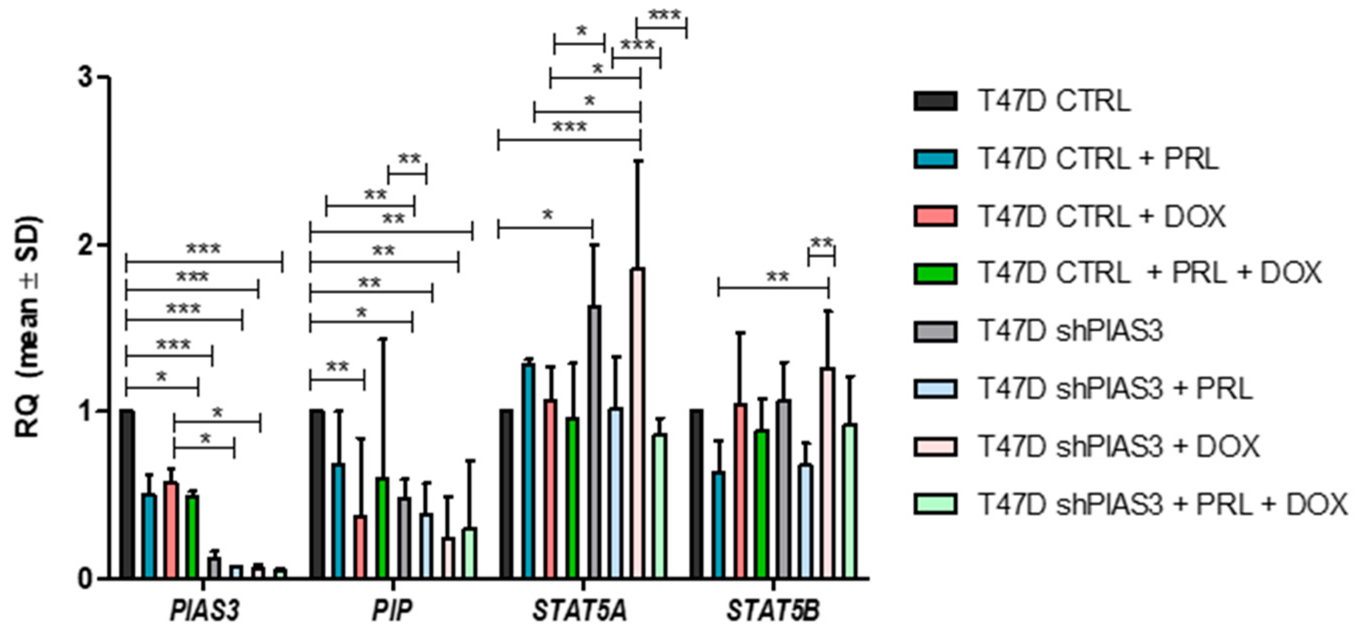 Ijms 26 01416 g015 Ijms 26 01416 g015