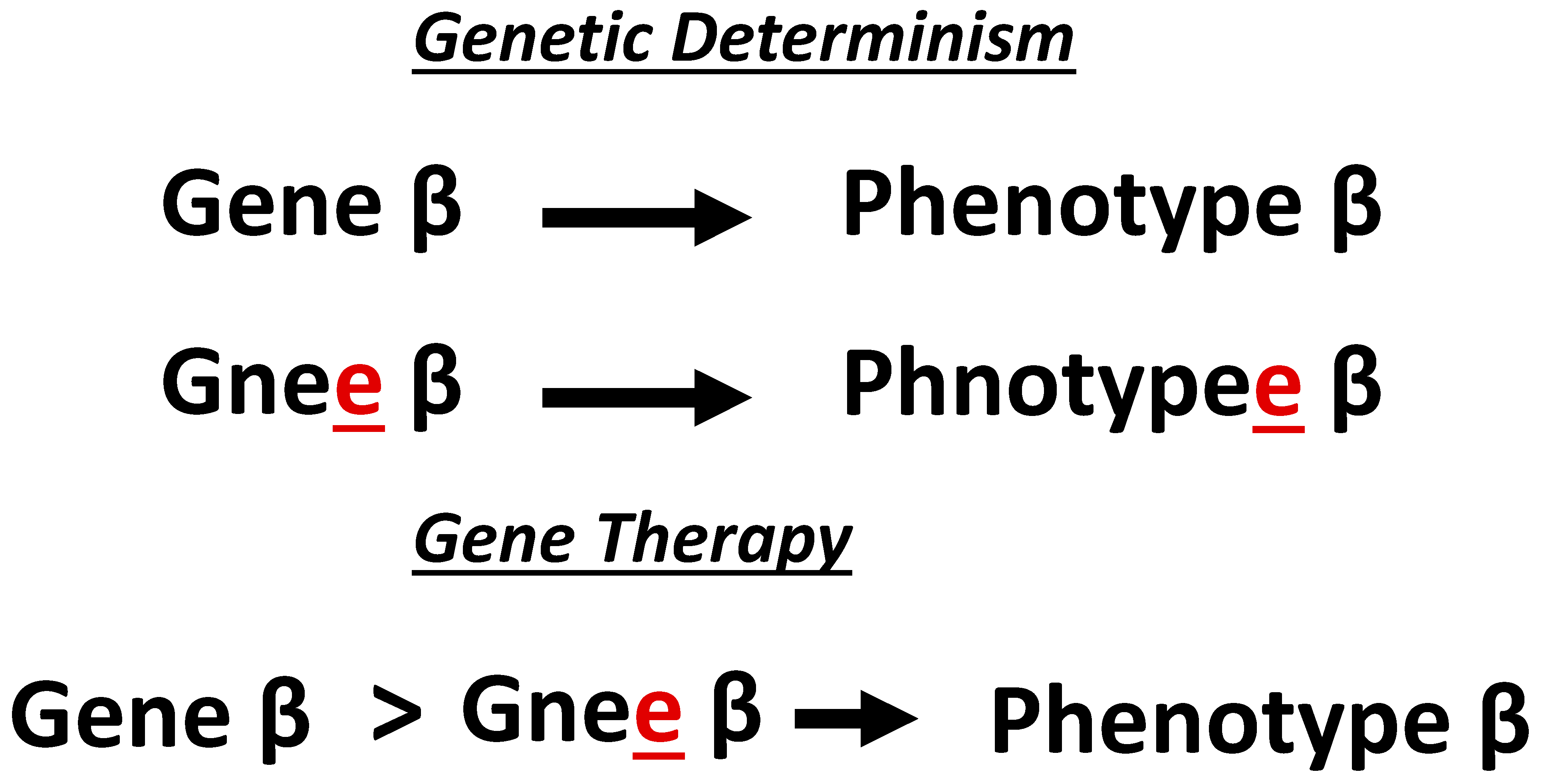 Ijms 26 01469 g002 Ijms 26 01469 g002
