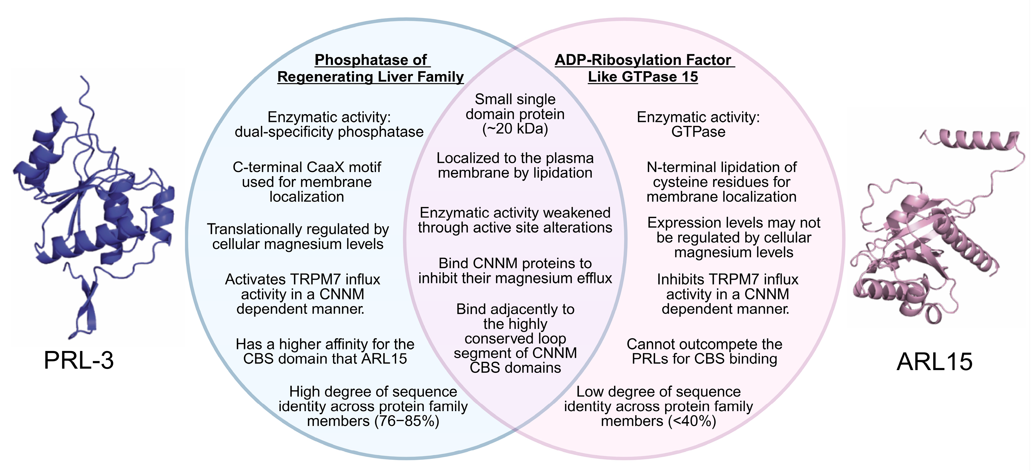 Ijms 26 01528 g003 Ijms 26 01528 g003