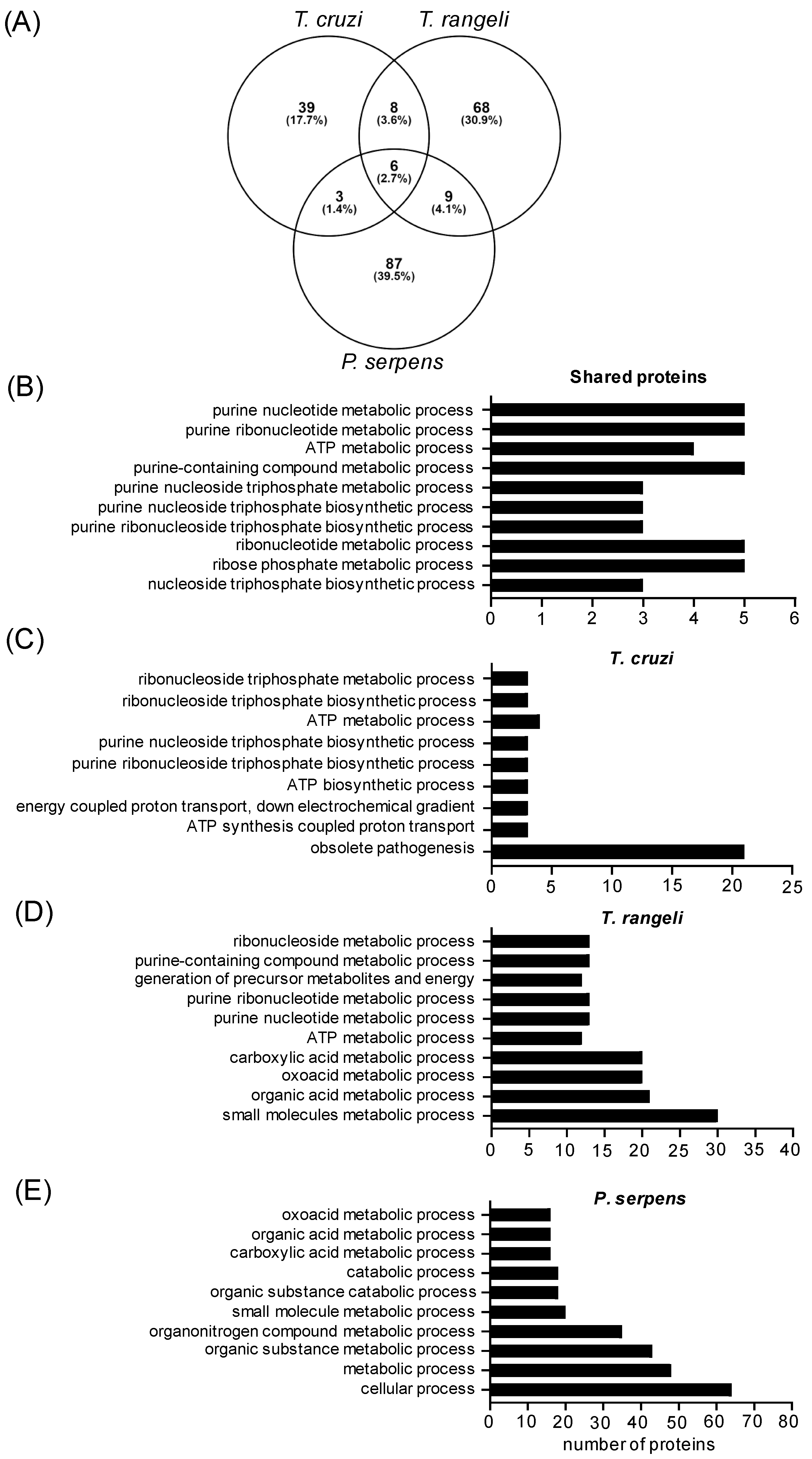 Ijms 26 01544 g003 Ijms 26 01544 g003