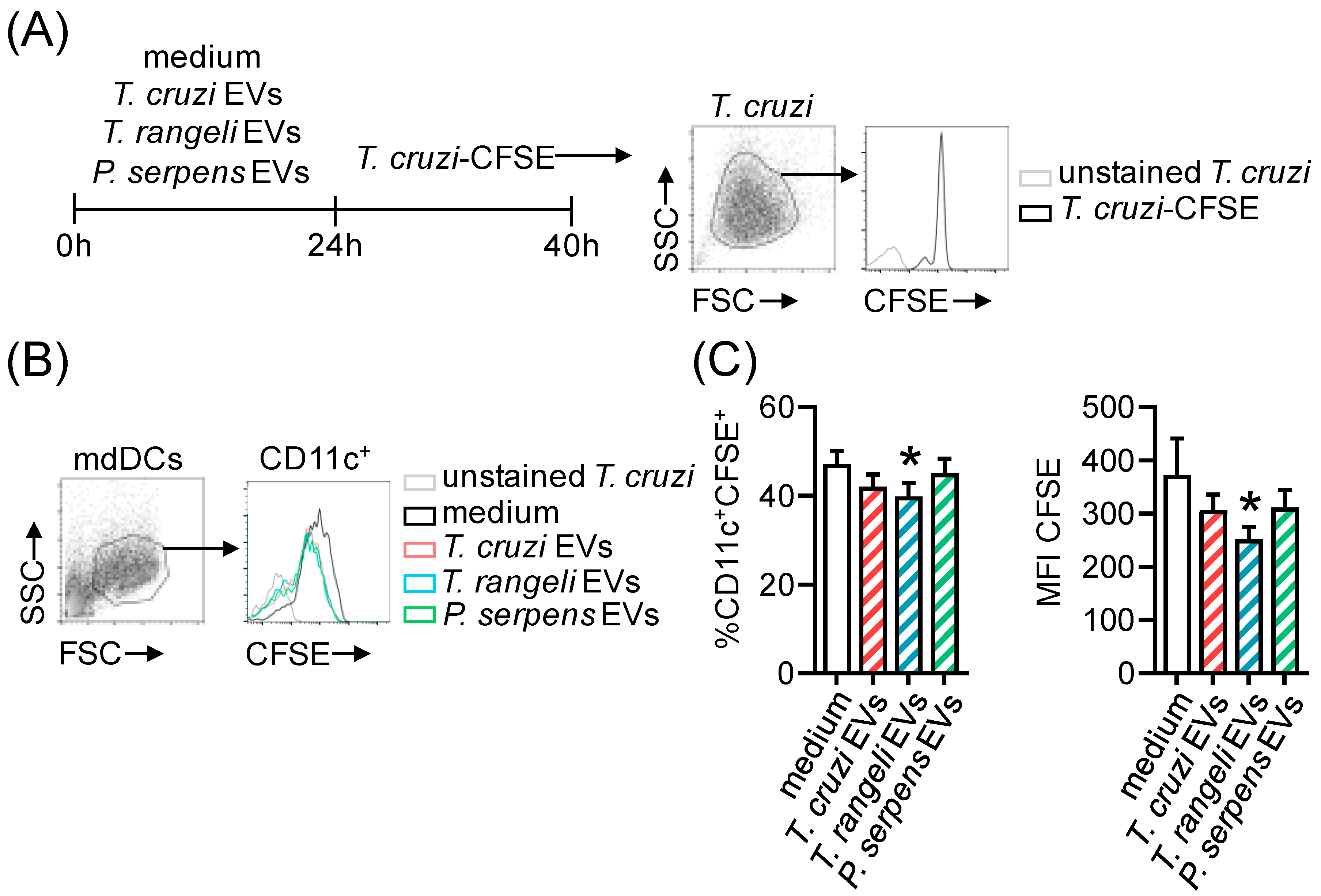 Ijms 26 01544 g006 Ijms 26 01544 g006