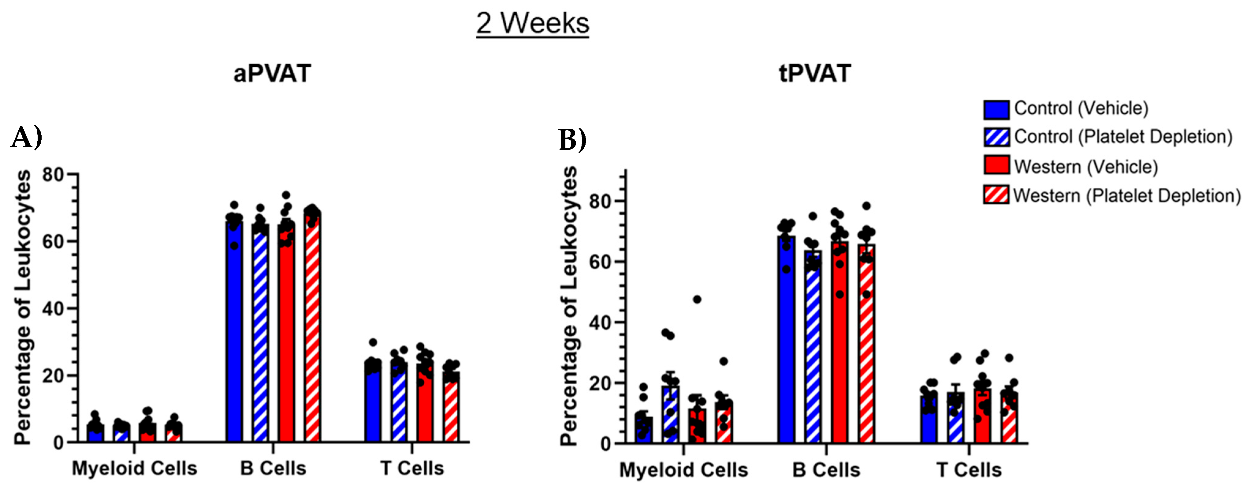 Ijms 26 01625 g001 Ijms 26 01625 g001