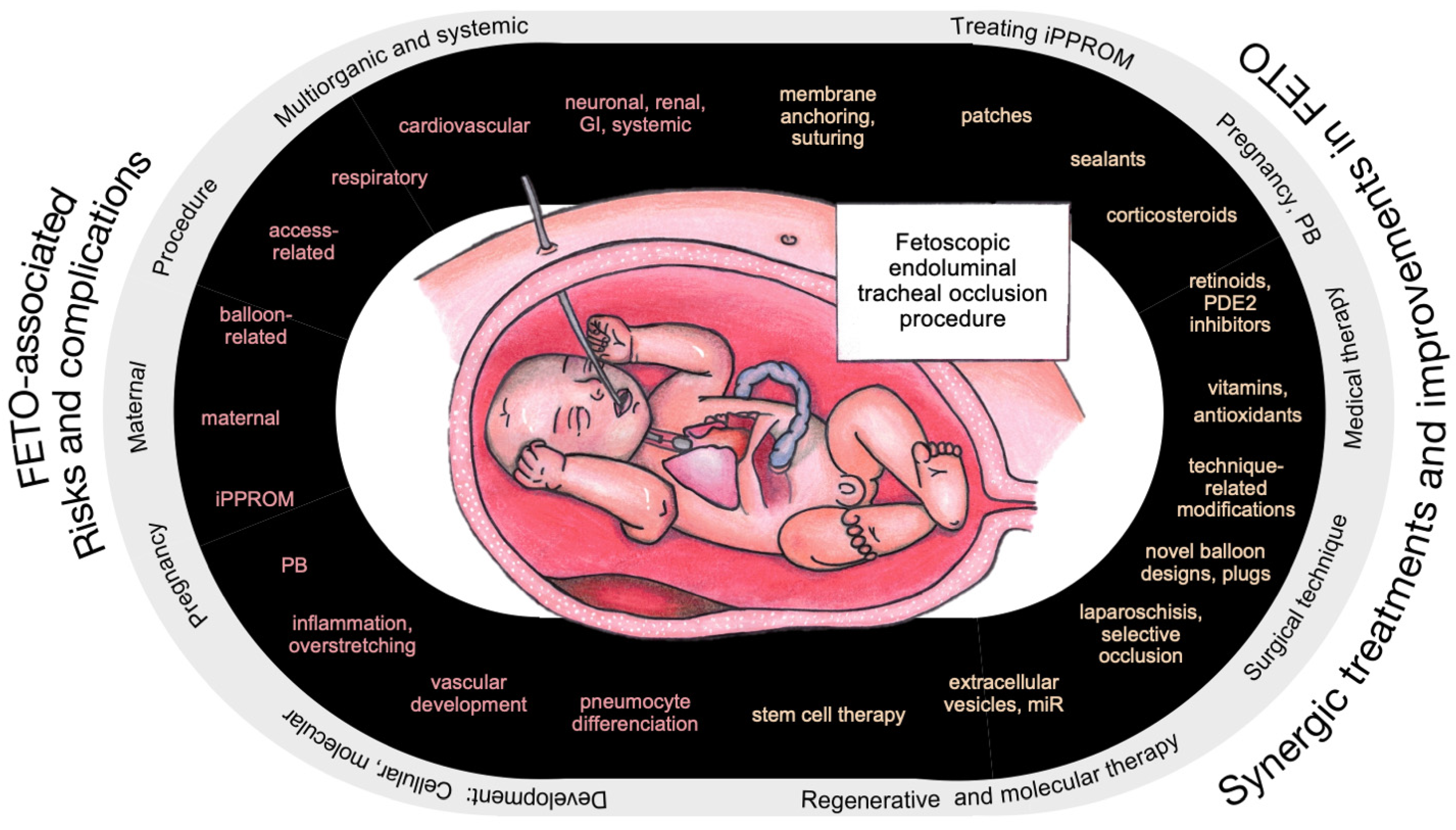 Ijms 26 01639 g001 Ijms 26 01639 g001