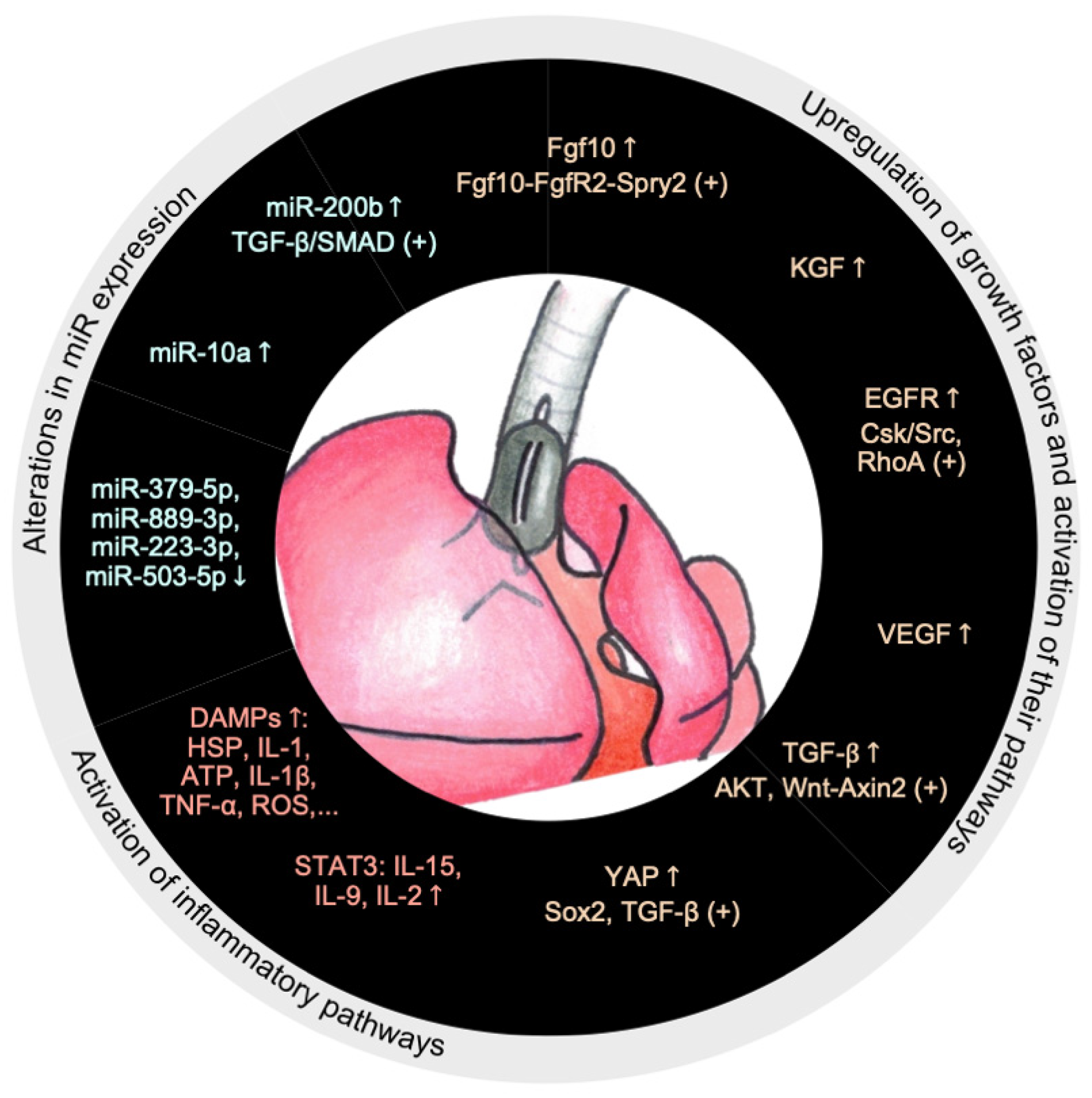 Ijms 26 01639 g002 Ijms 26 01639 g002