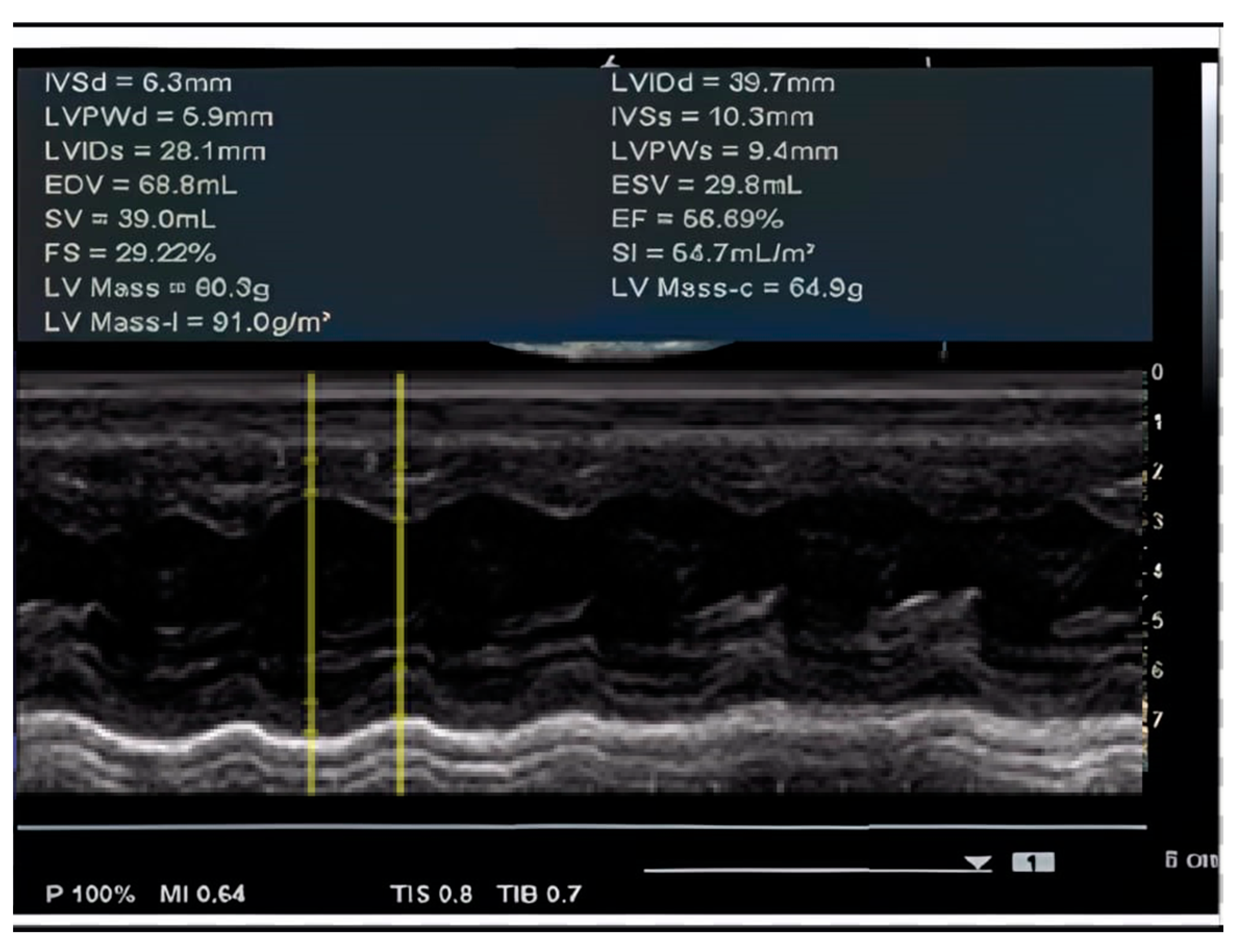 Ijms 26 01685 g002