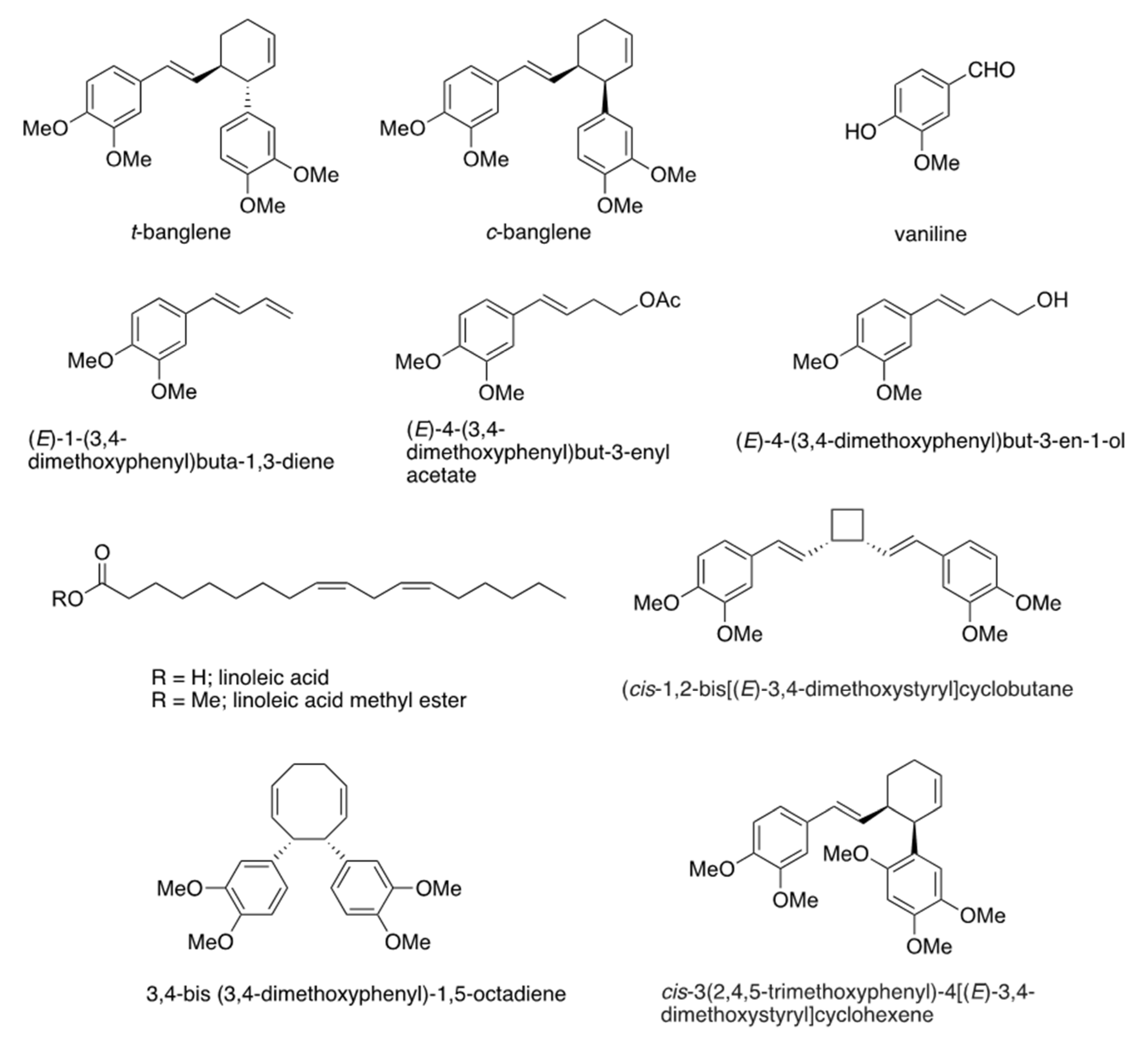 Ijms 26 01787 g001 Ijms 26 01787 g001
