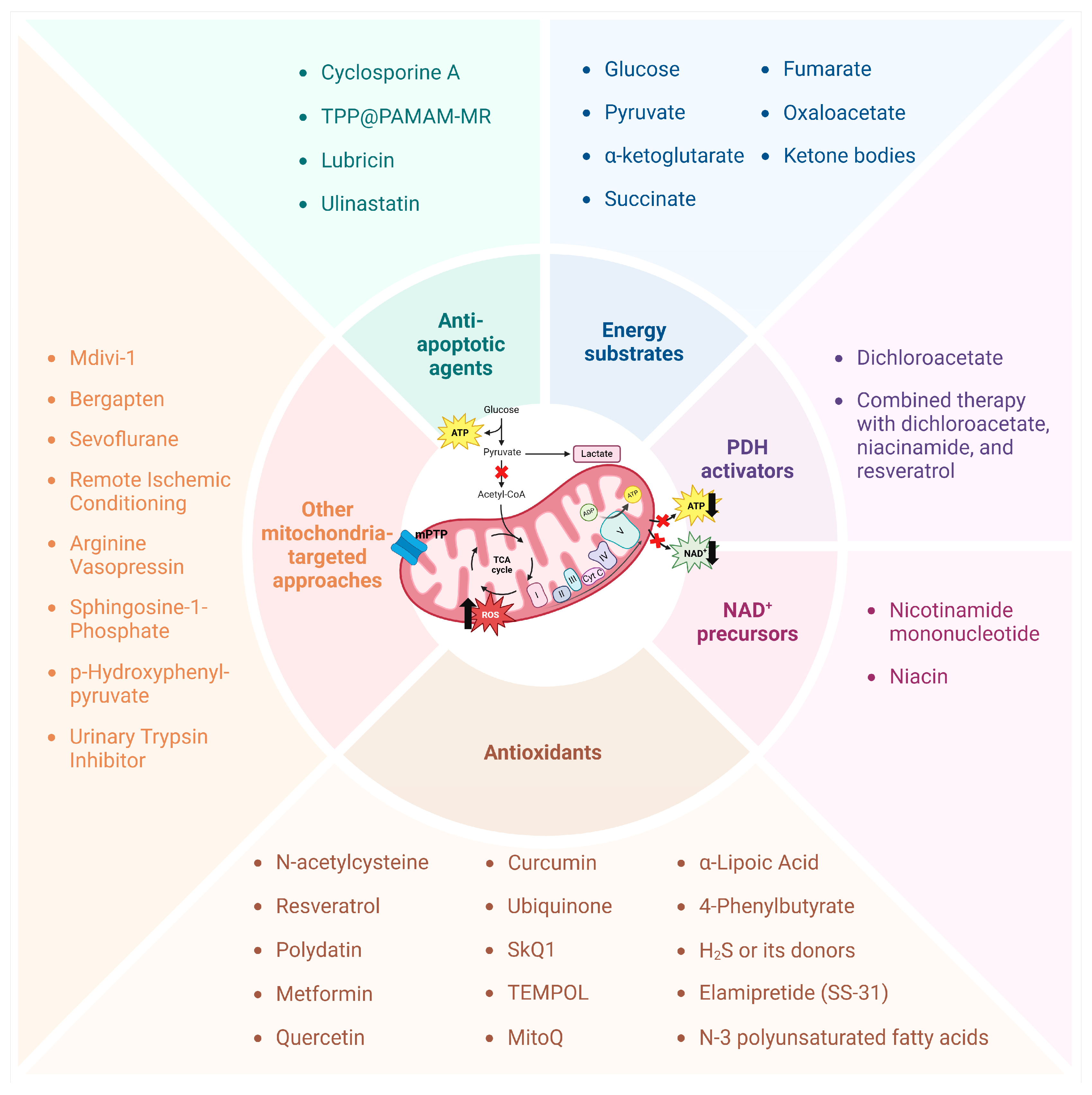 Ijms 26 01843 g002 Ijms 26 01843 g002