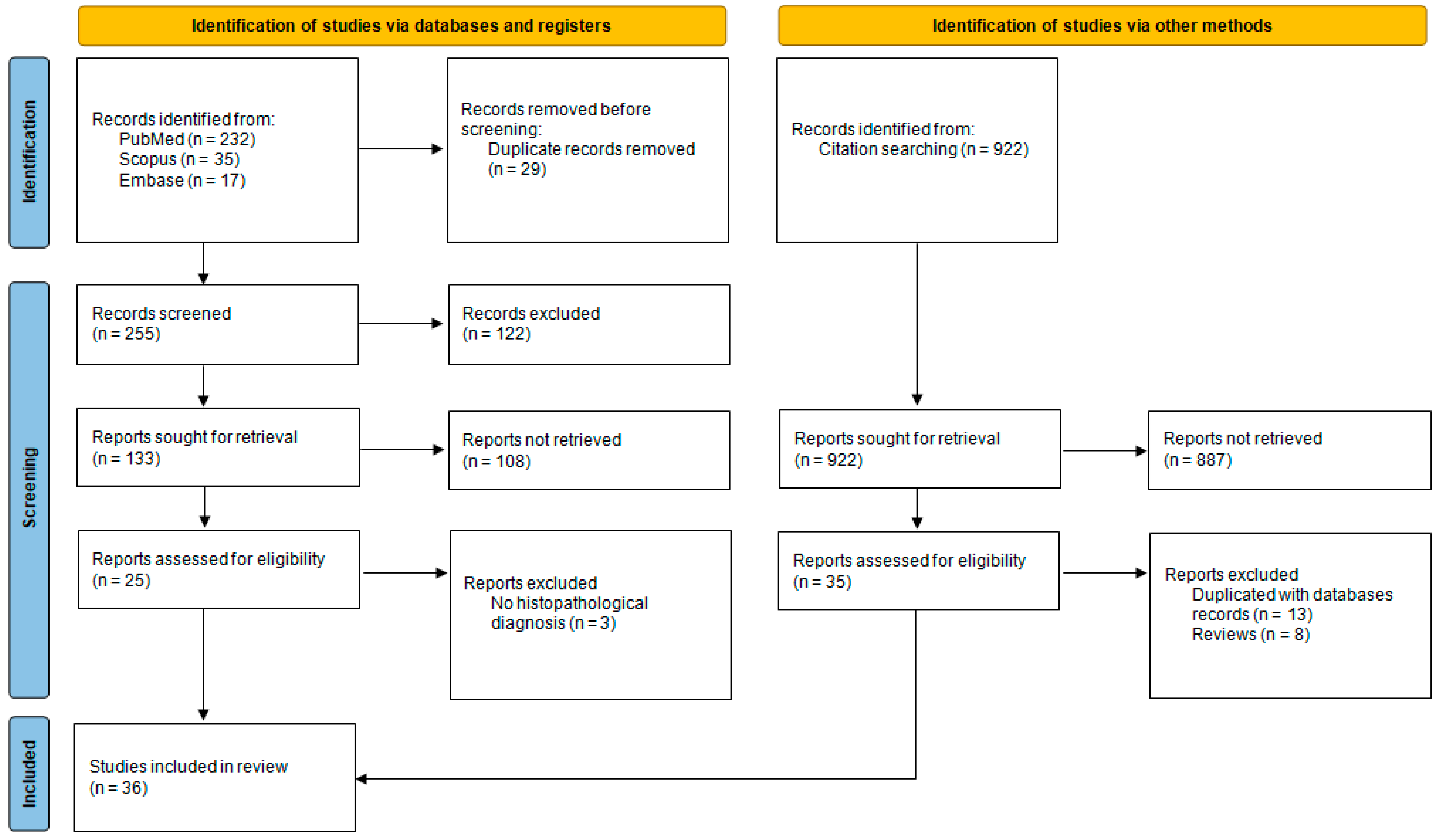 Ijms 26 01853 g001 Ijms 26 01853 g001