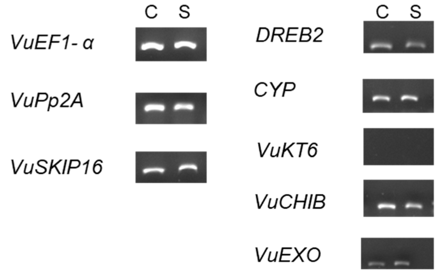 Ijms 26 01892 g004