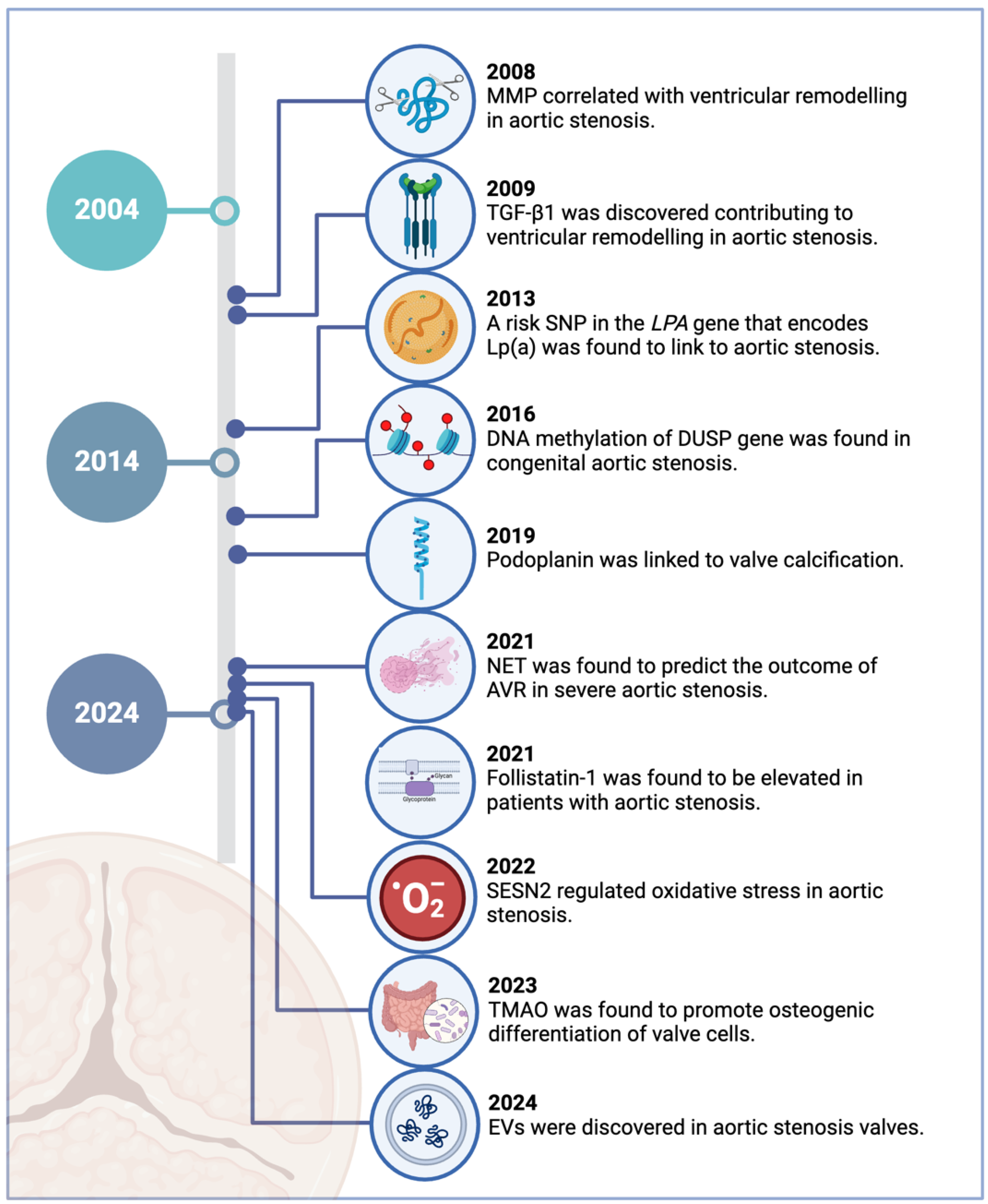 Ijms 26 01902 g001 Ijms 26 01902 g001