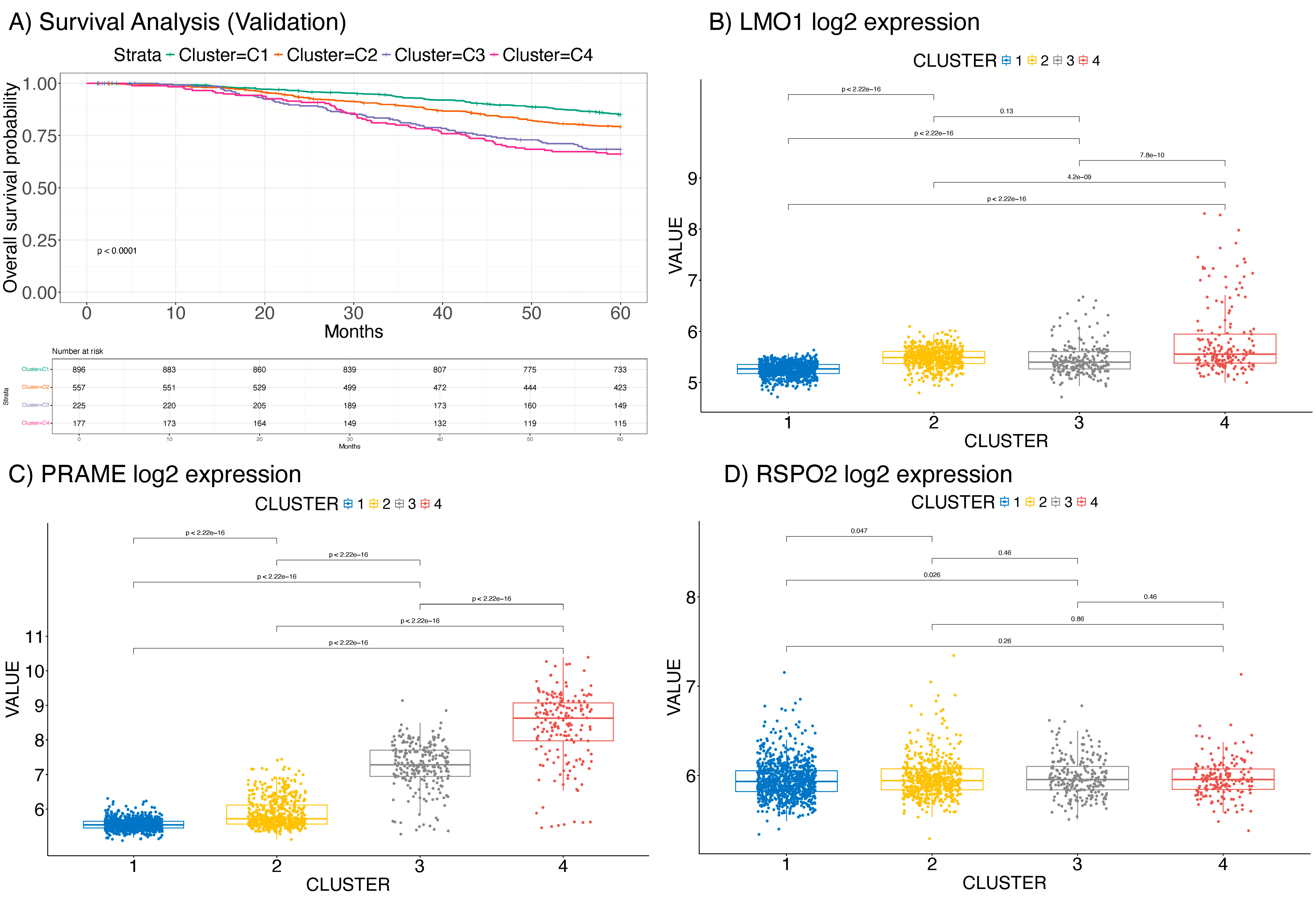 Ijms 26 01943 g004 Ijms 26 01943 g004