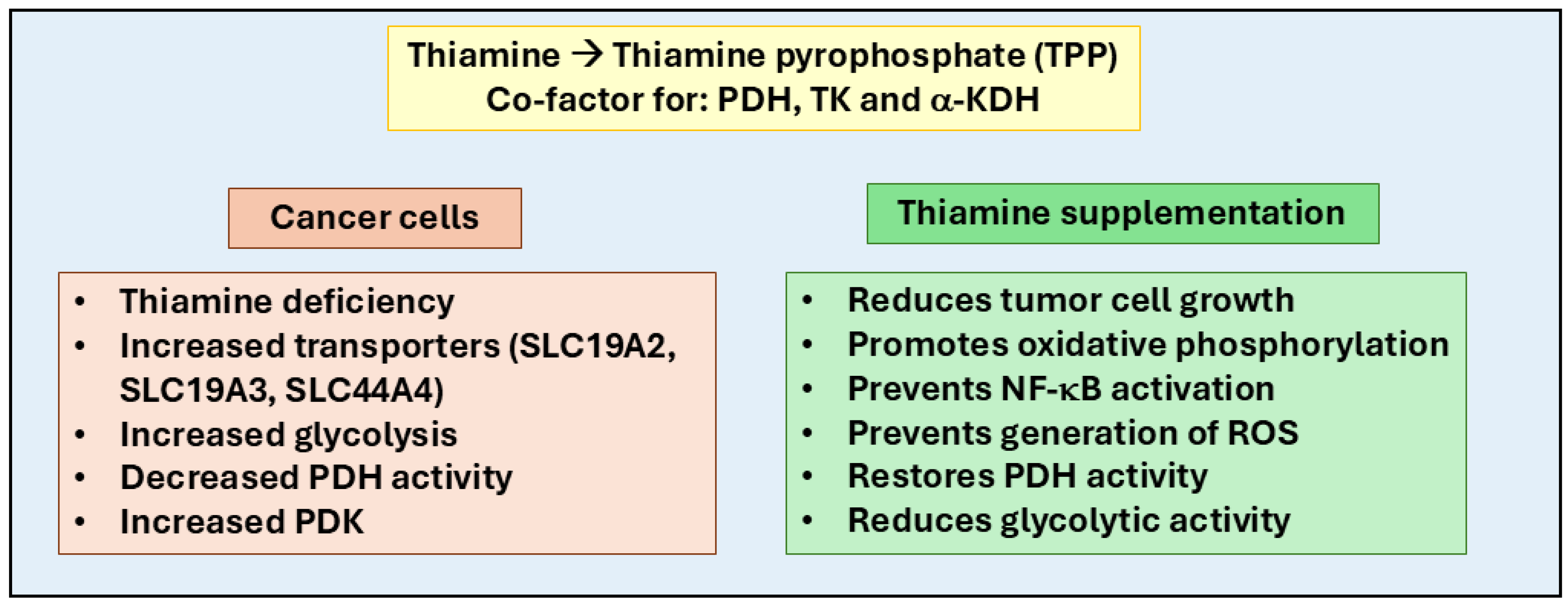 Ijms 26 01967 g002 Ijms 26 01967 g002
