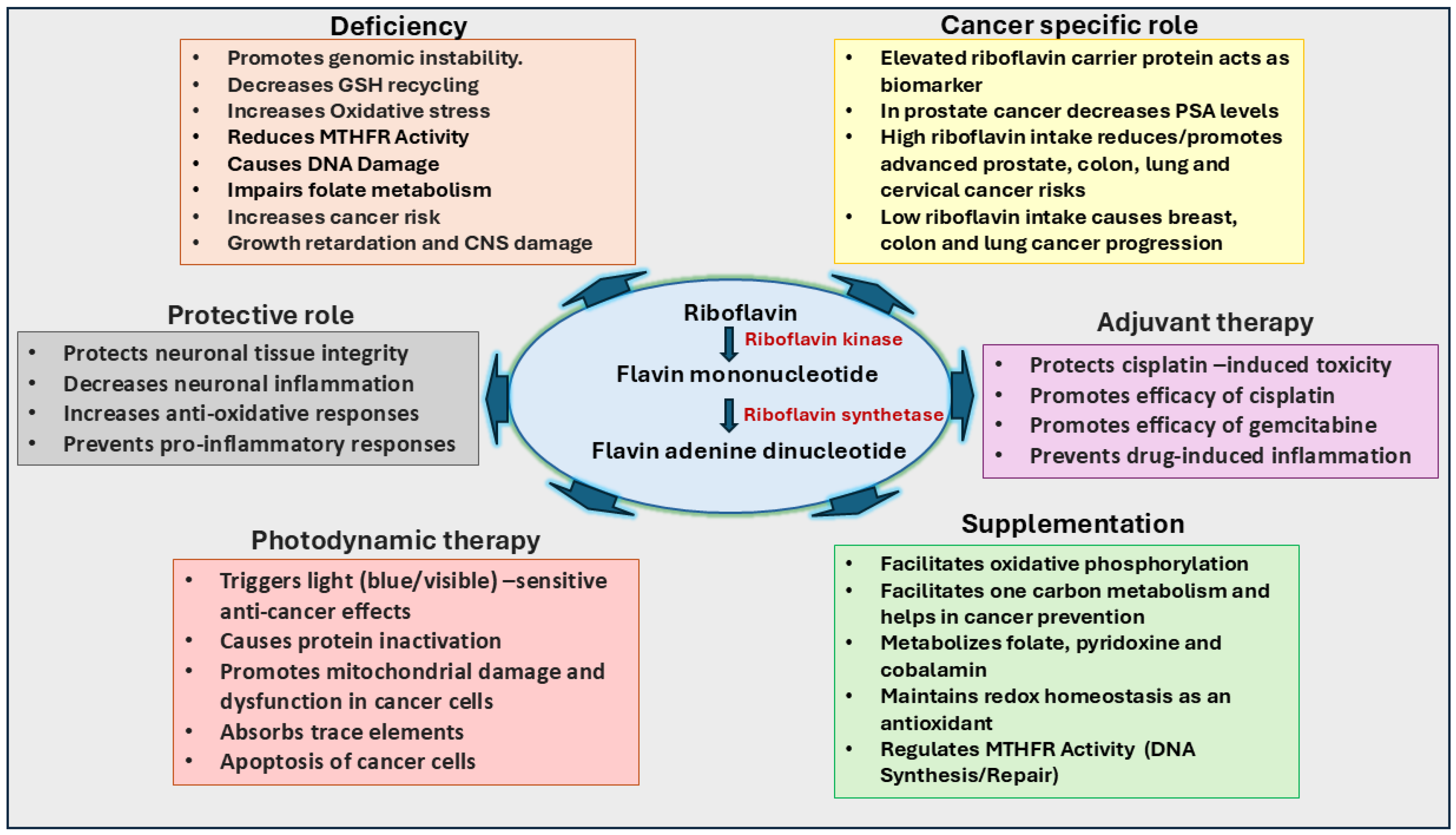 Ijms 26 01967 g003 Ijms 26 01967 g003