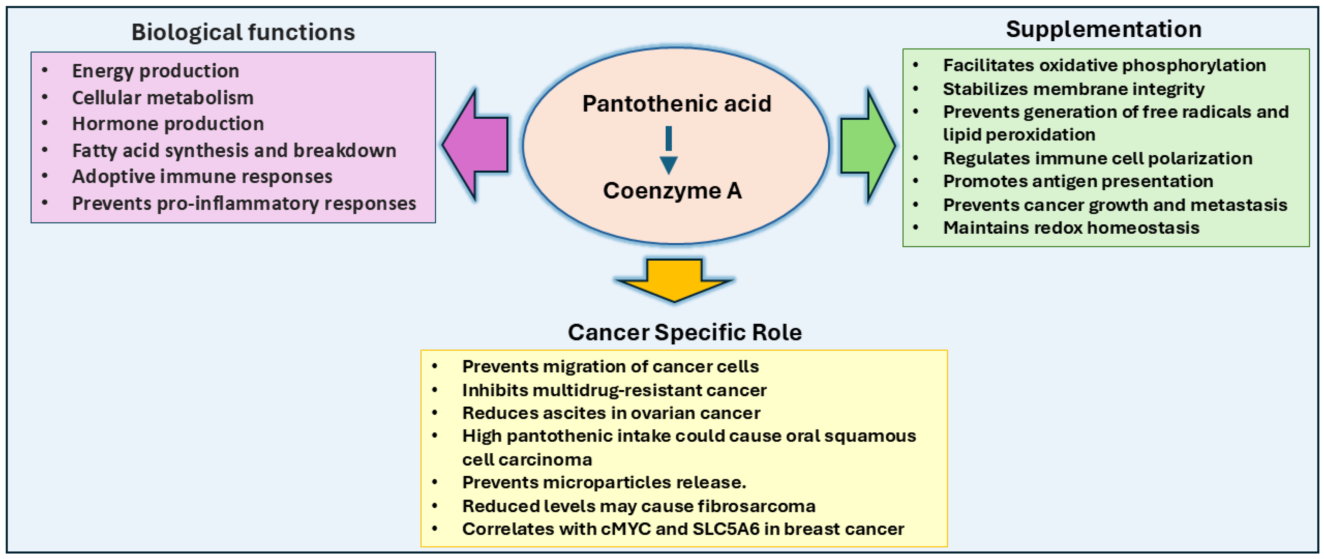 Ijms 26 01967 g005 Ijms 26 01967 g005