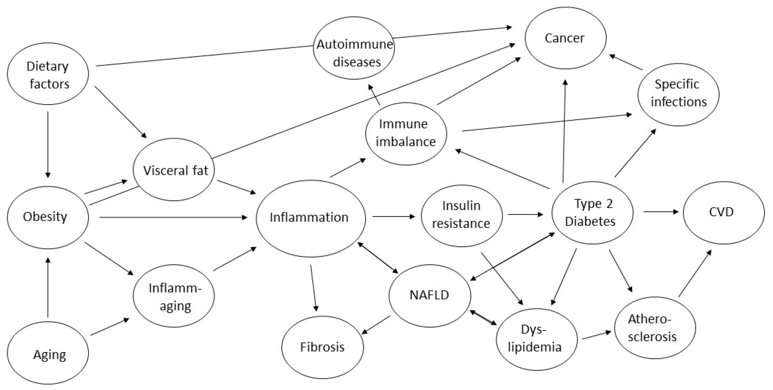 Ijms 26 02000 g001 Ijms 26 02000 g001