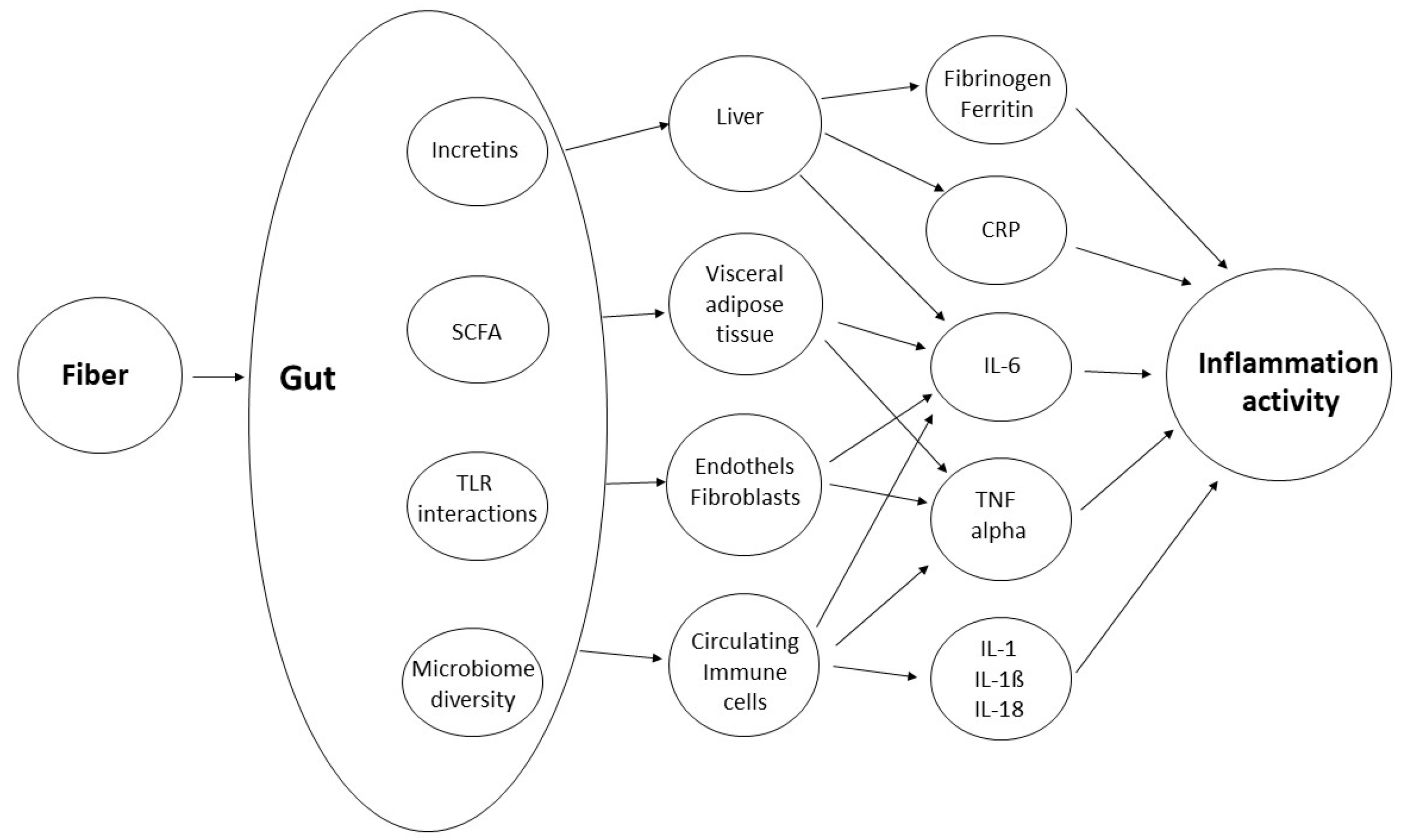 Ijms 26 02000 g002 Ijms 26 02000 g002