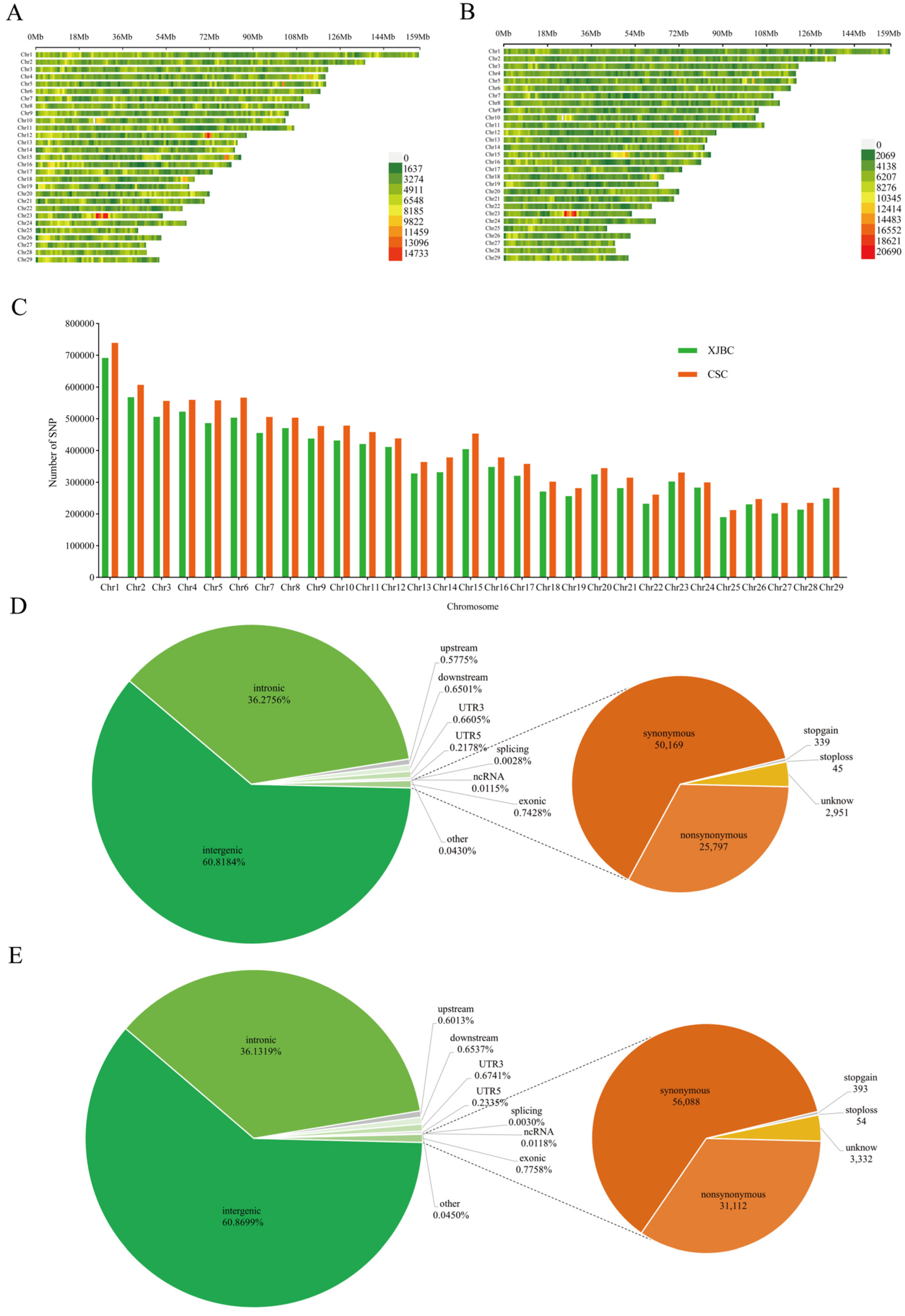Ijms 26 02003 g001 Ijms 26 02003 g001