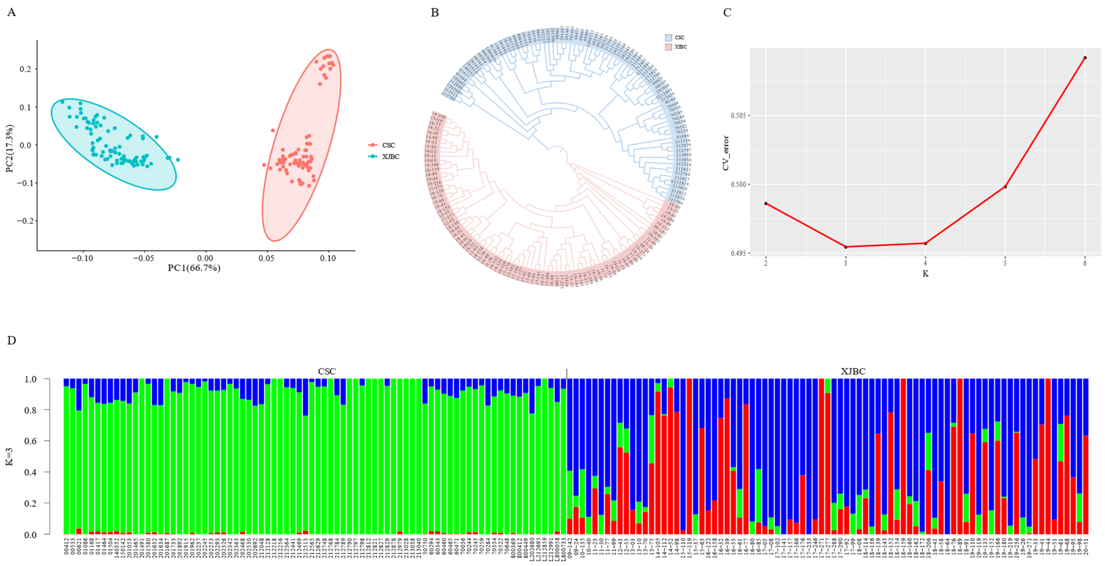 Ijms 26 02003 g003 Ijms 26 02003 g003