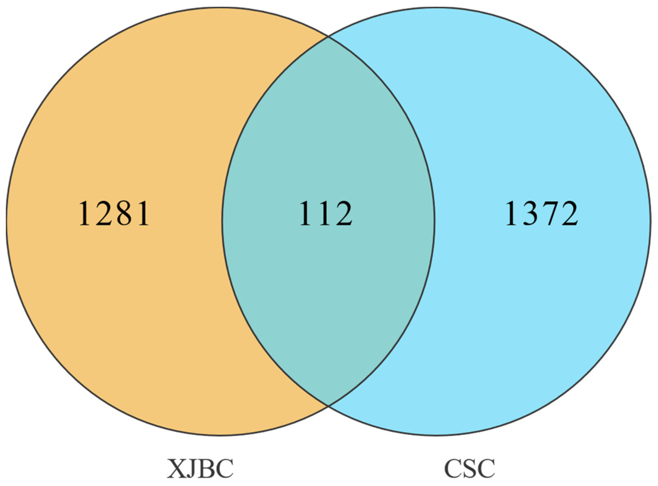 Ijms 26 02003 g007 Ijms 26 02003 g007