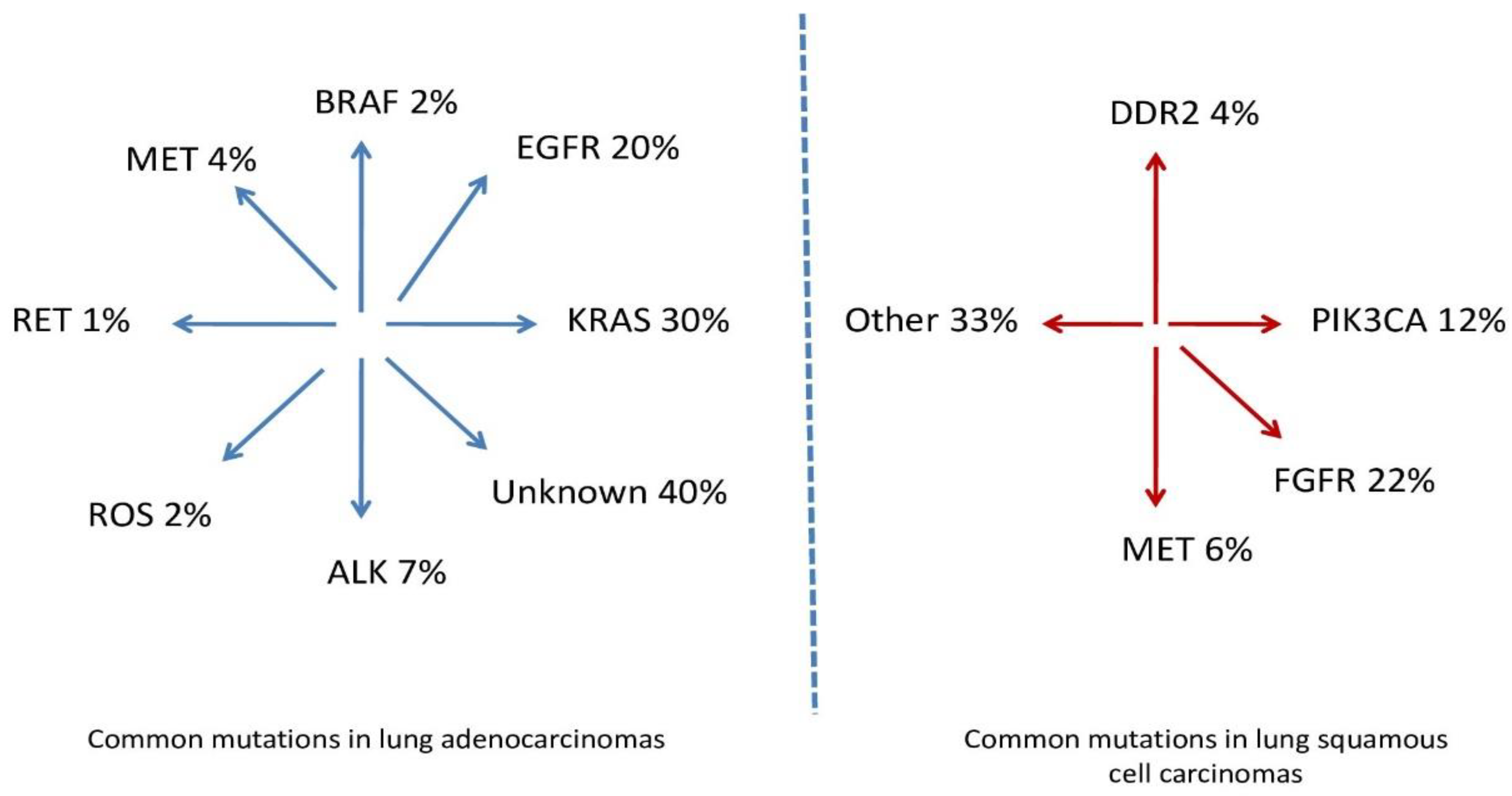 Ijms 26 02049 g002 Ijms 26 02049 g002