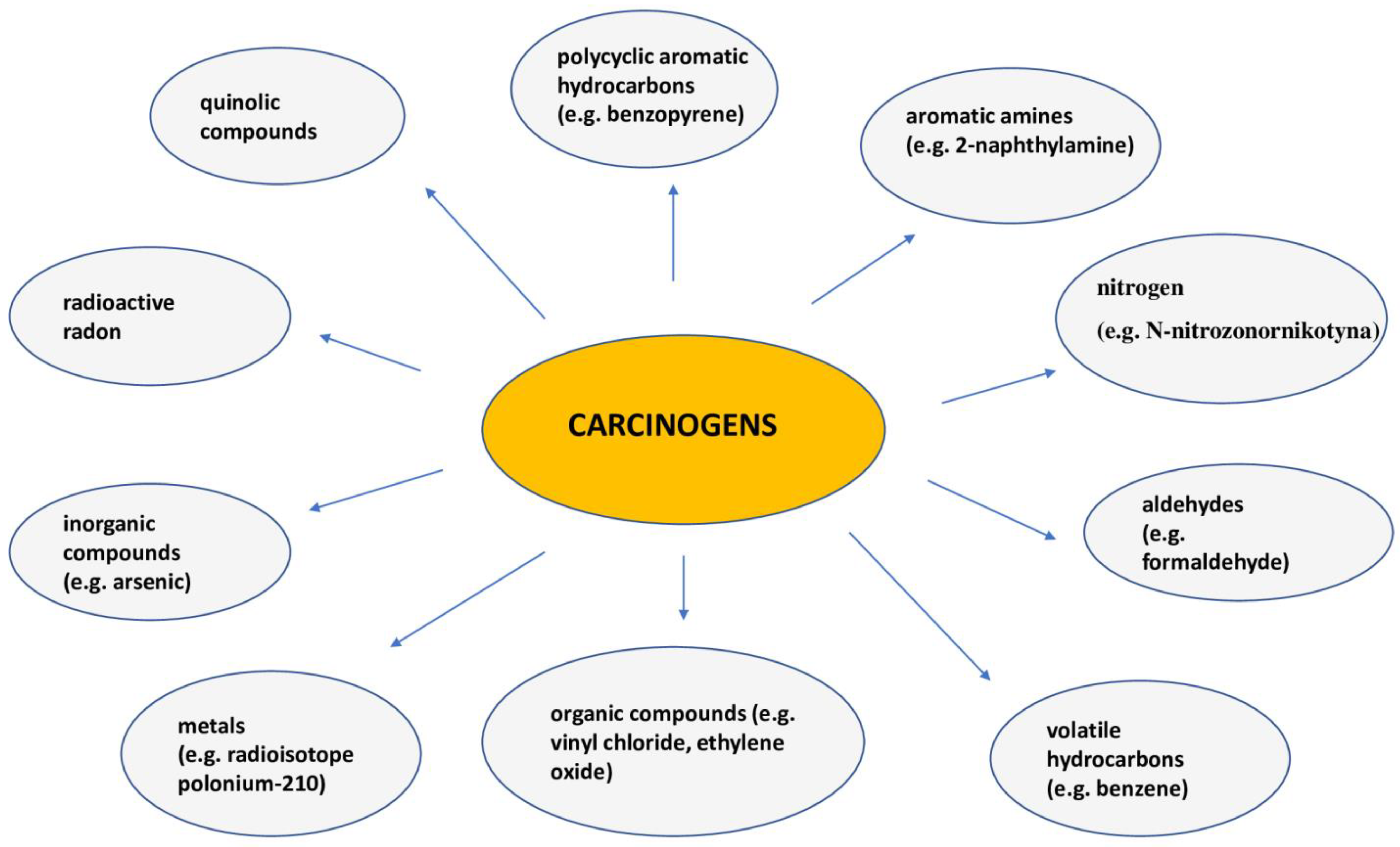 Ijms 26 02049 g003 Ijms 26 02049 g003