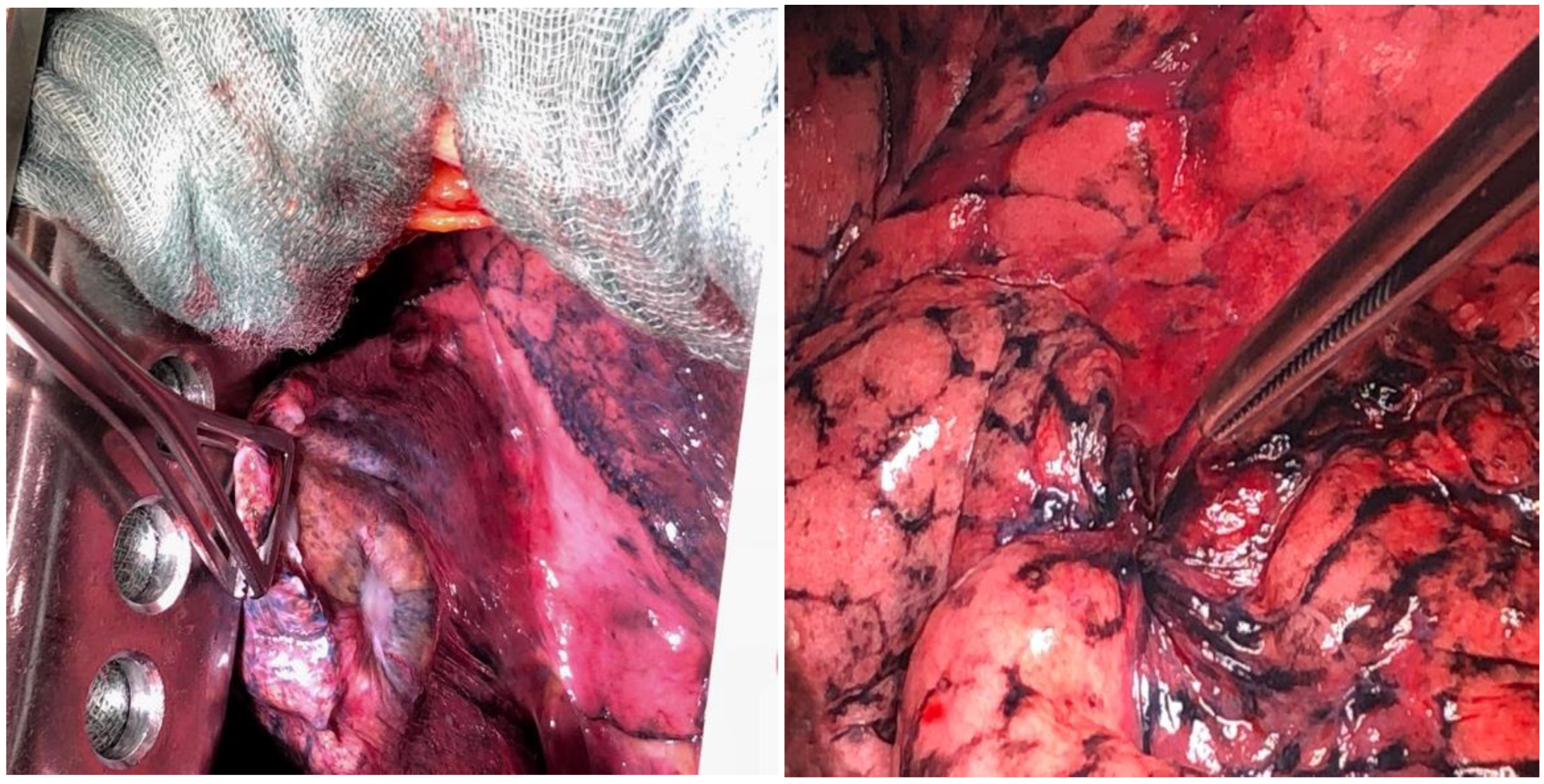 Ijms 26 02049 g004 Ijms 26 02049 g004