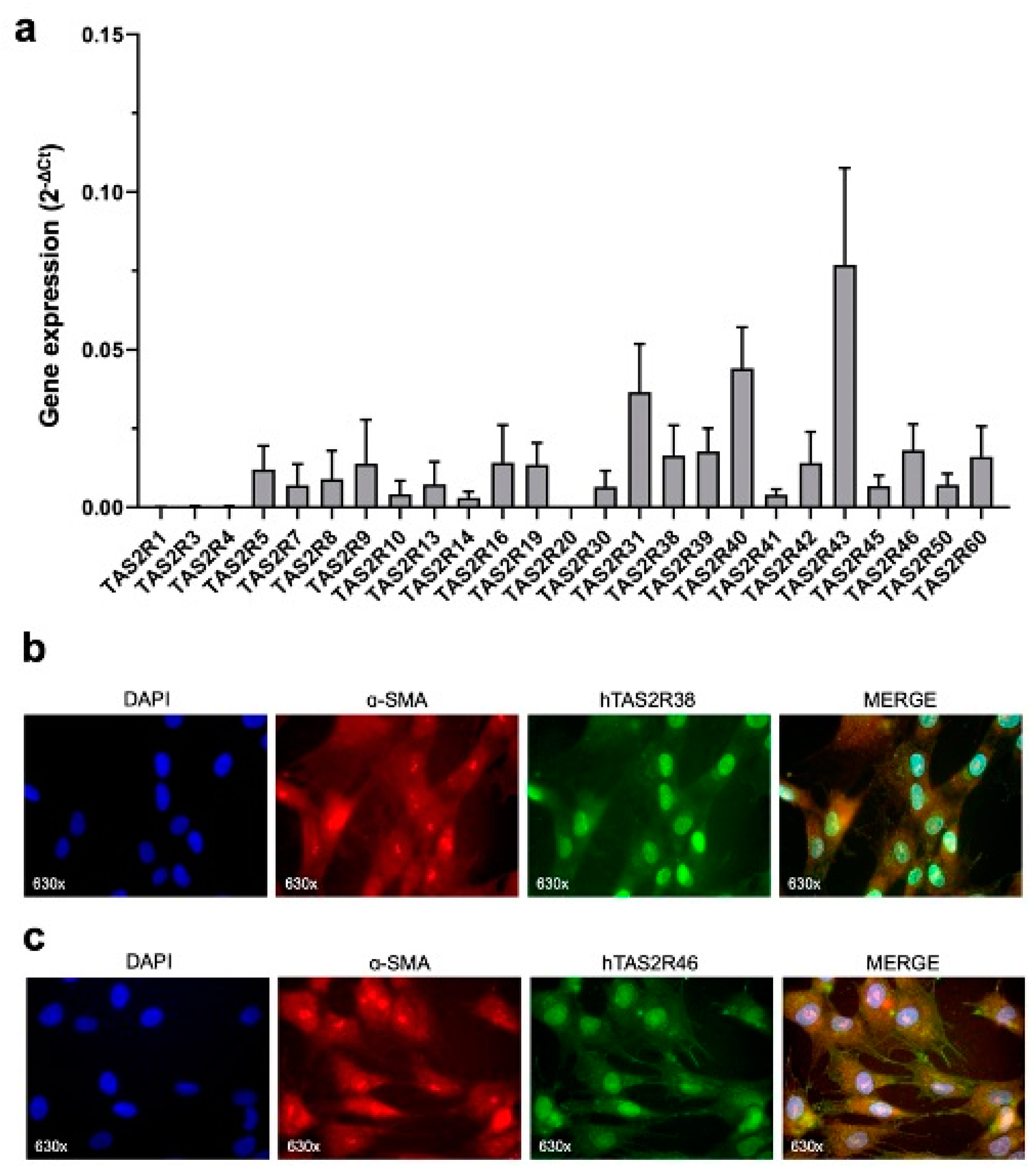 Ijms 26 02092 g001 Ijms 26 02092 g001