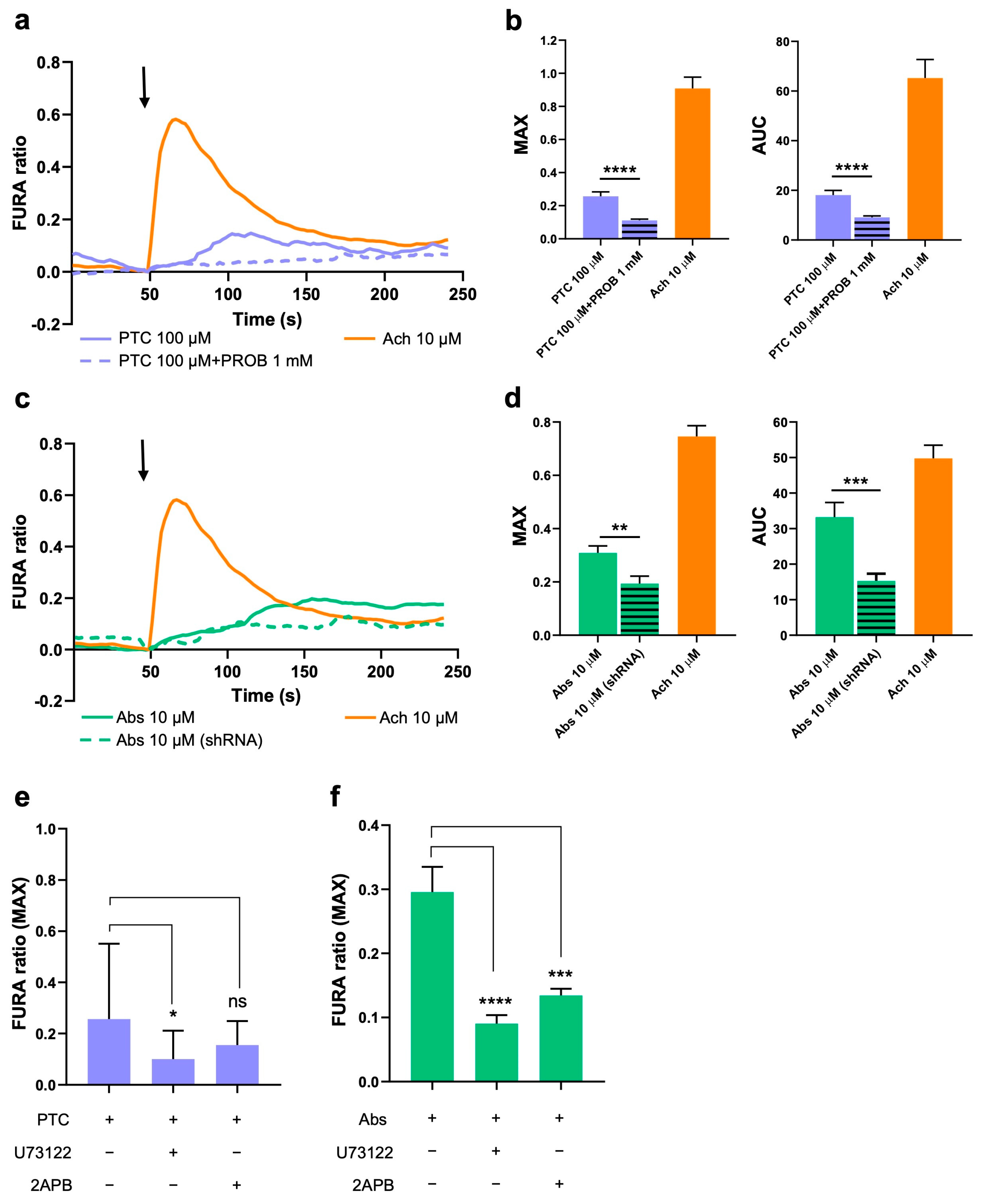 Ijms 26 02092 g002 Ijms 26 02092 g002