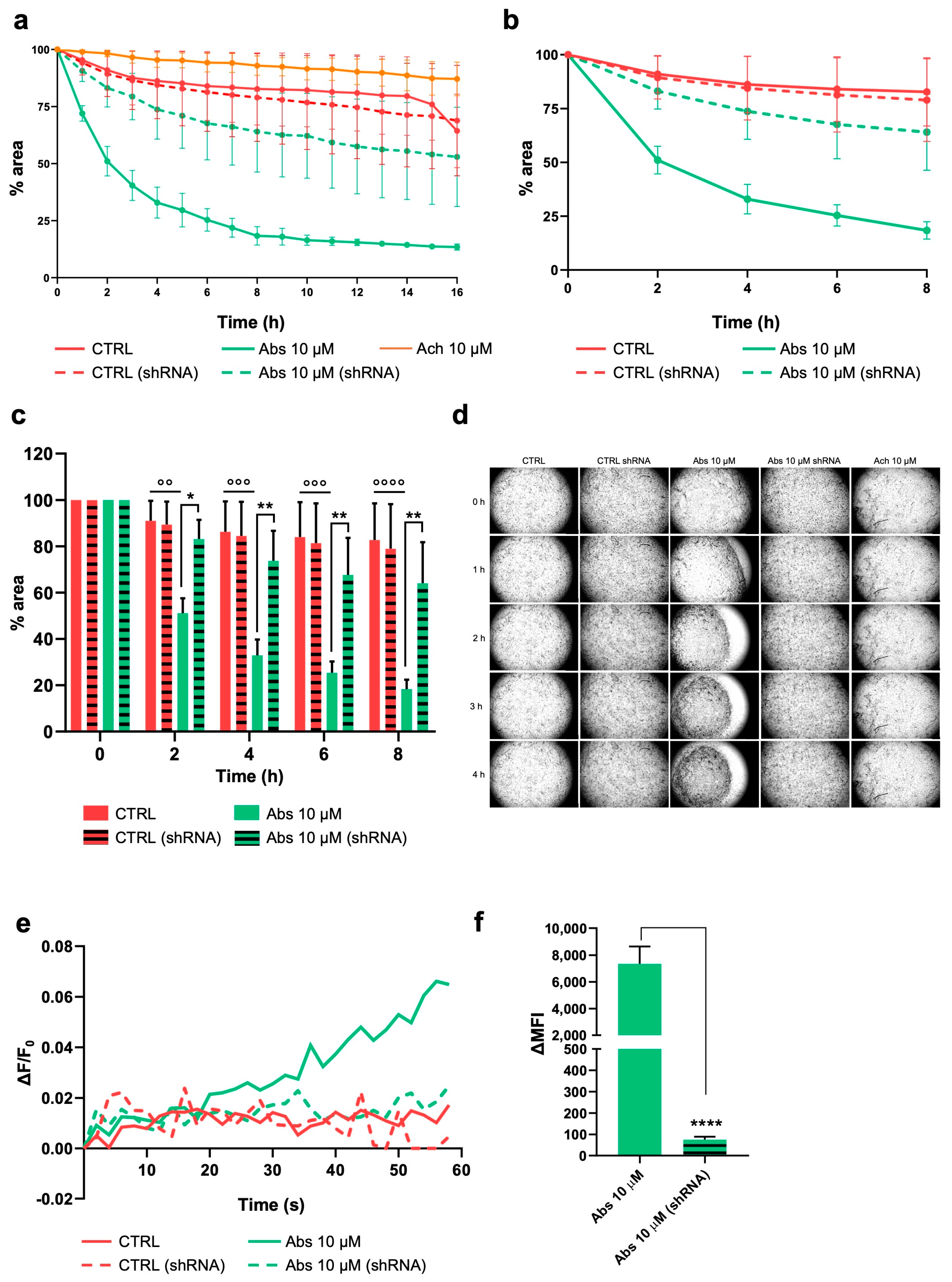 Ijms 26 02092 g004 Ijms 26 02092 g004