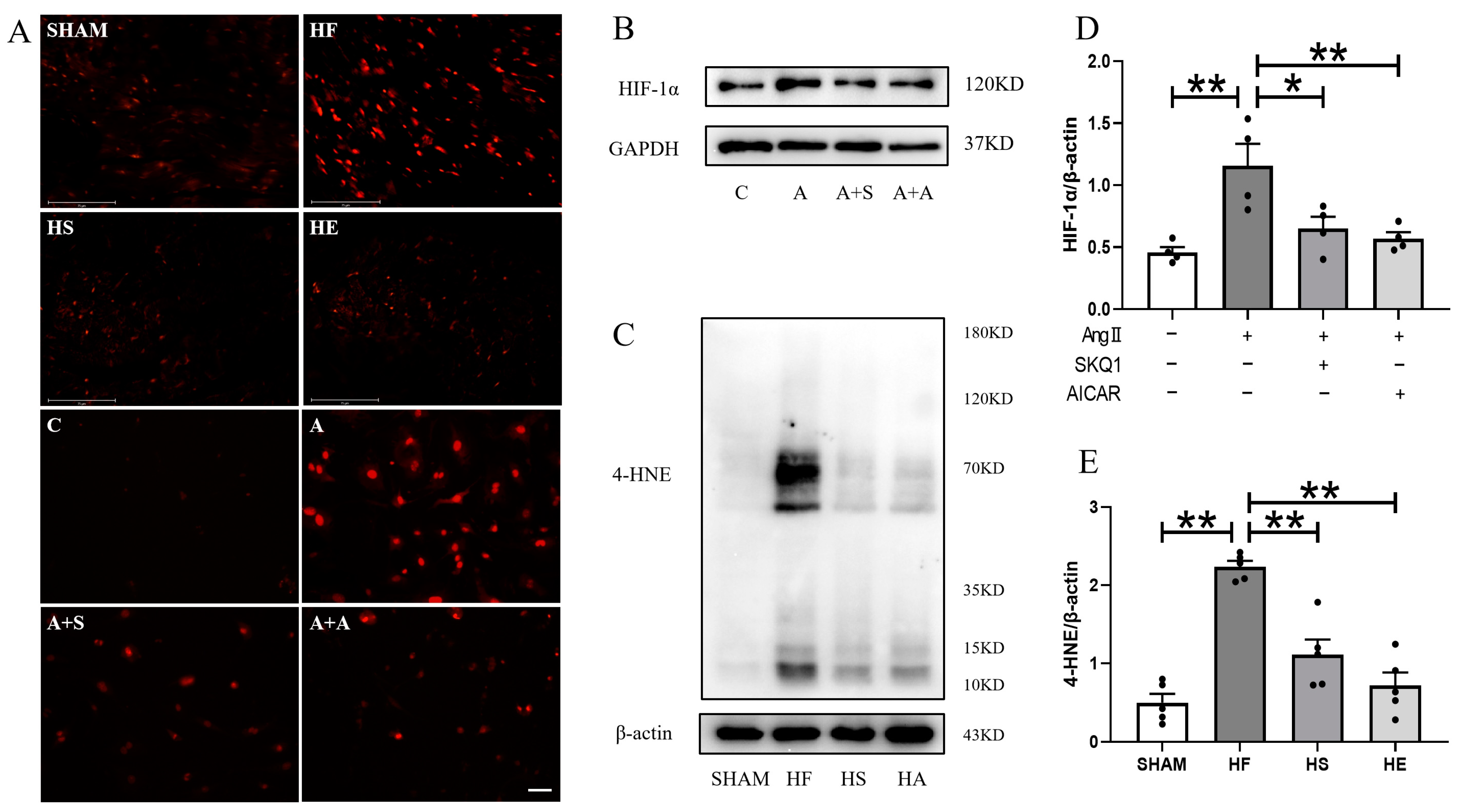 Ijms 26 02136 g003