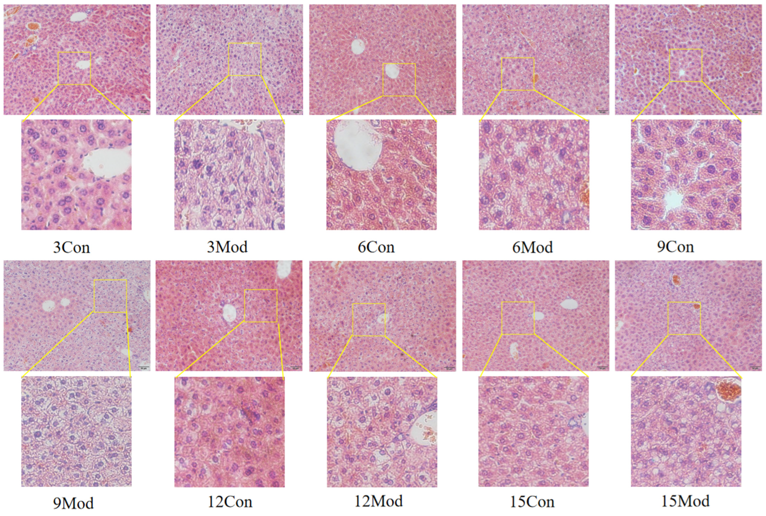 Ijms 26 02142 g005 Ijms 26 02142 g005