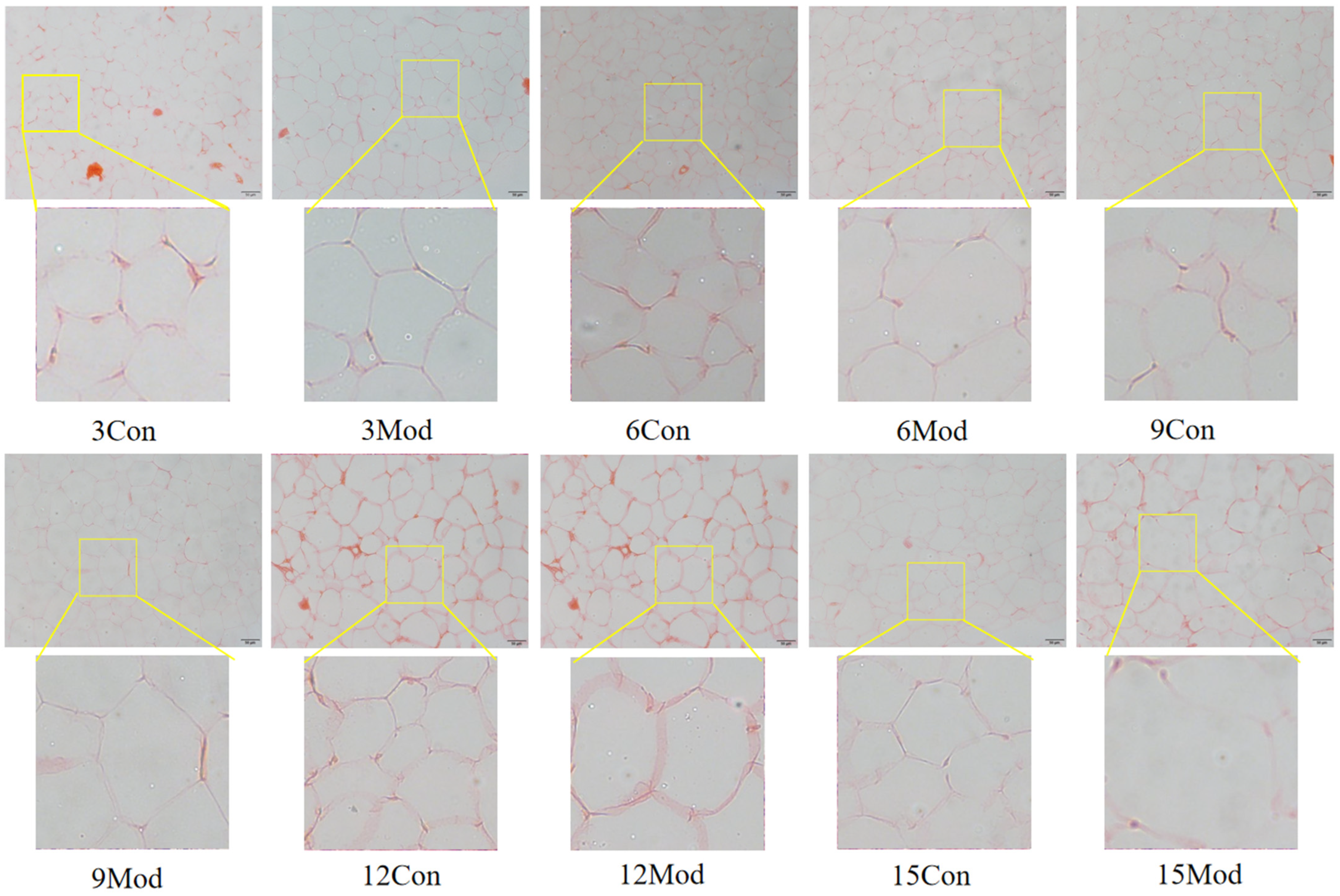 Ijms 26 02142 g006 Ijms 26 02142 g006