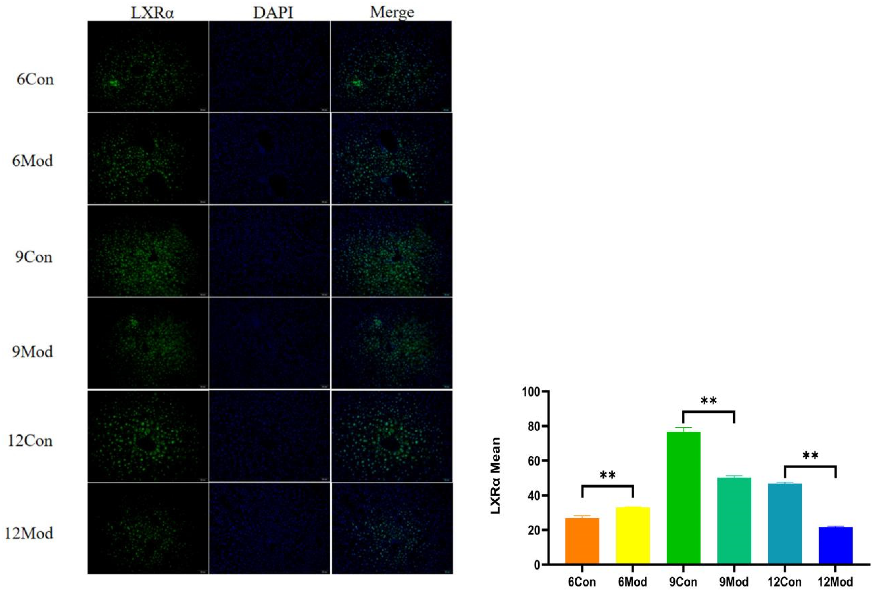 Ijms 26 02142 g009 Ijms 26 02142 g009