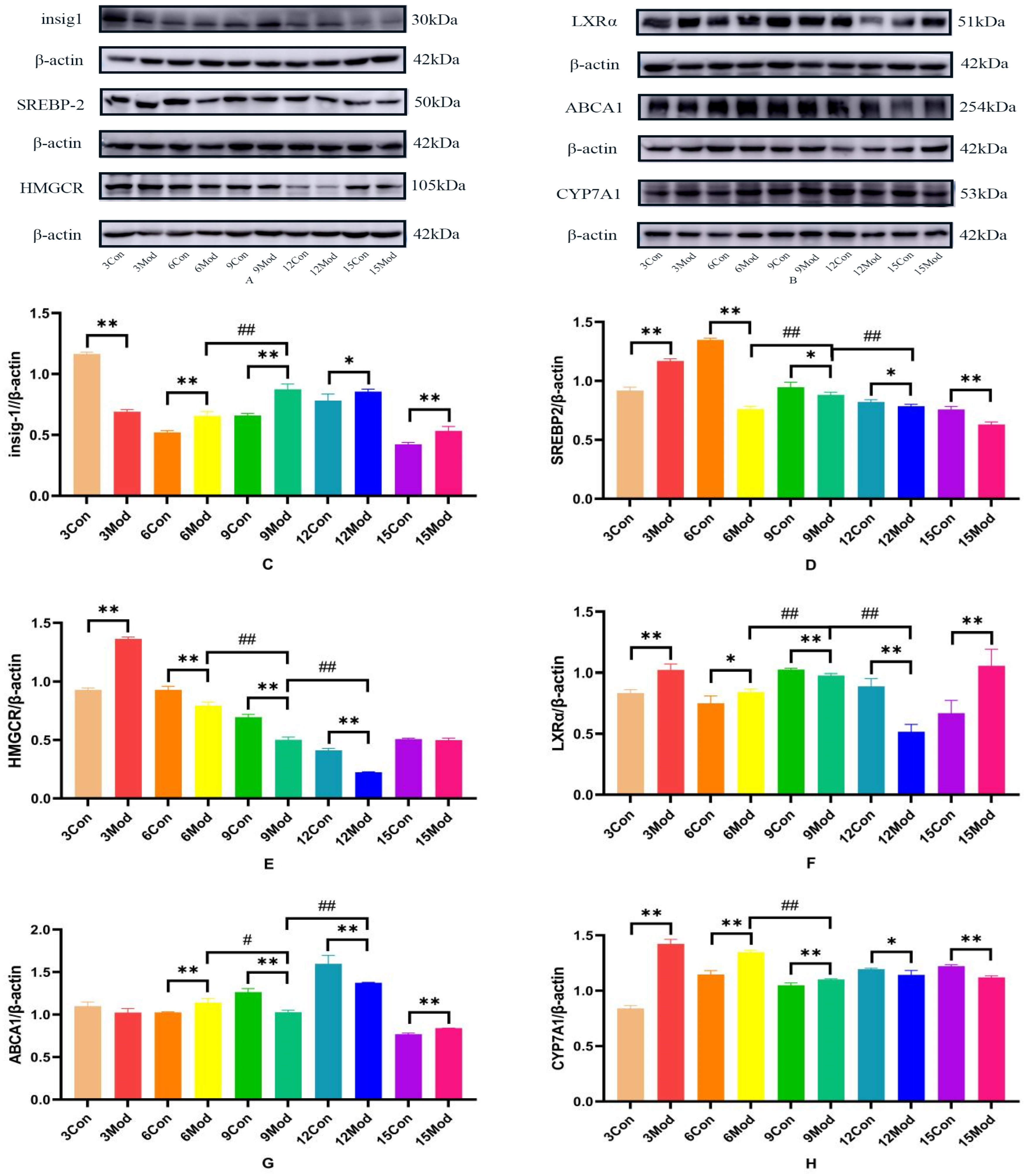 Ijms 26 02142 g012 Ijms 26 02142 g012