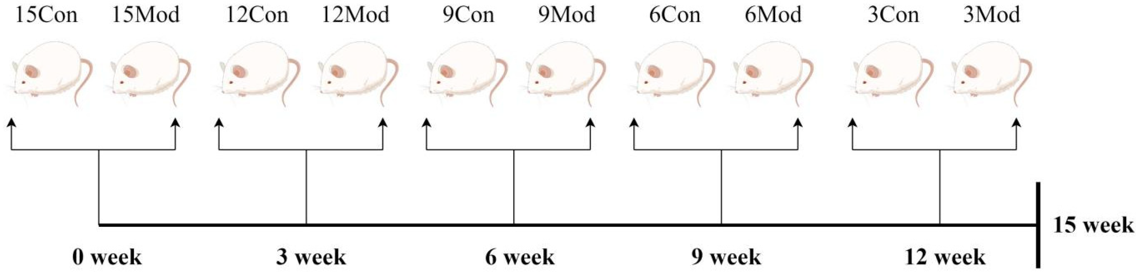 Ijms 26 02142 g015 Ijms 26 02142 g015