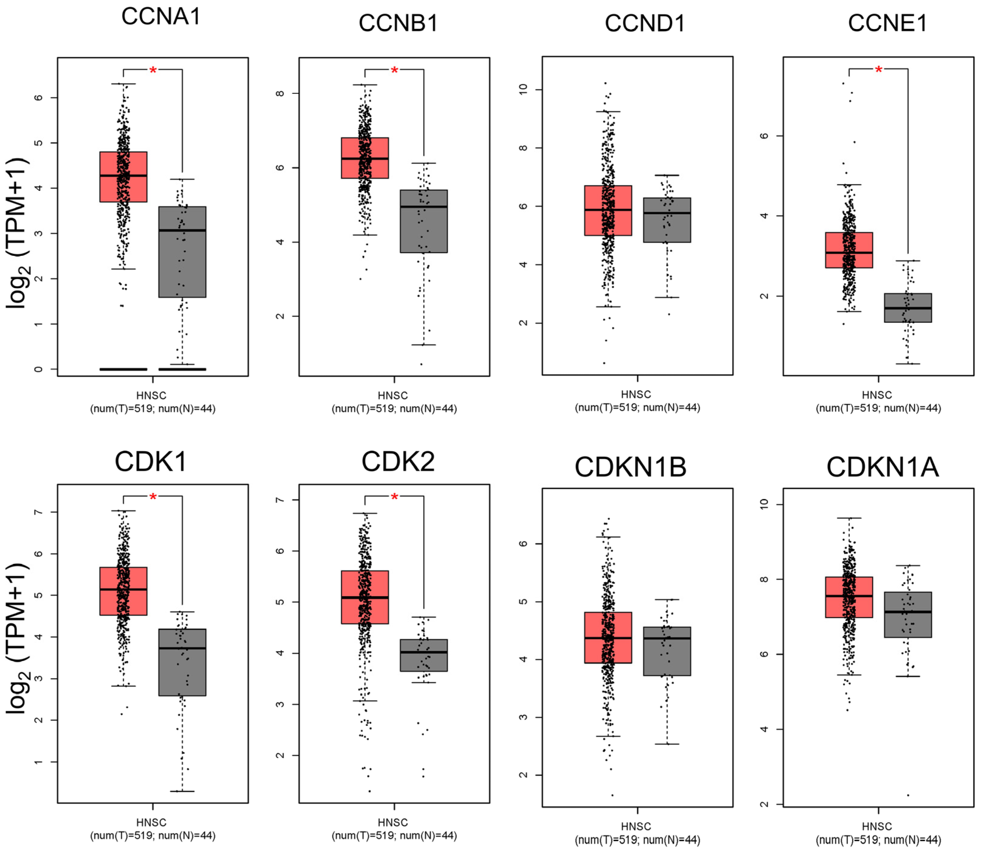 Ijms 26 02197 g001 Ijms 26 02197 g001