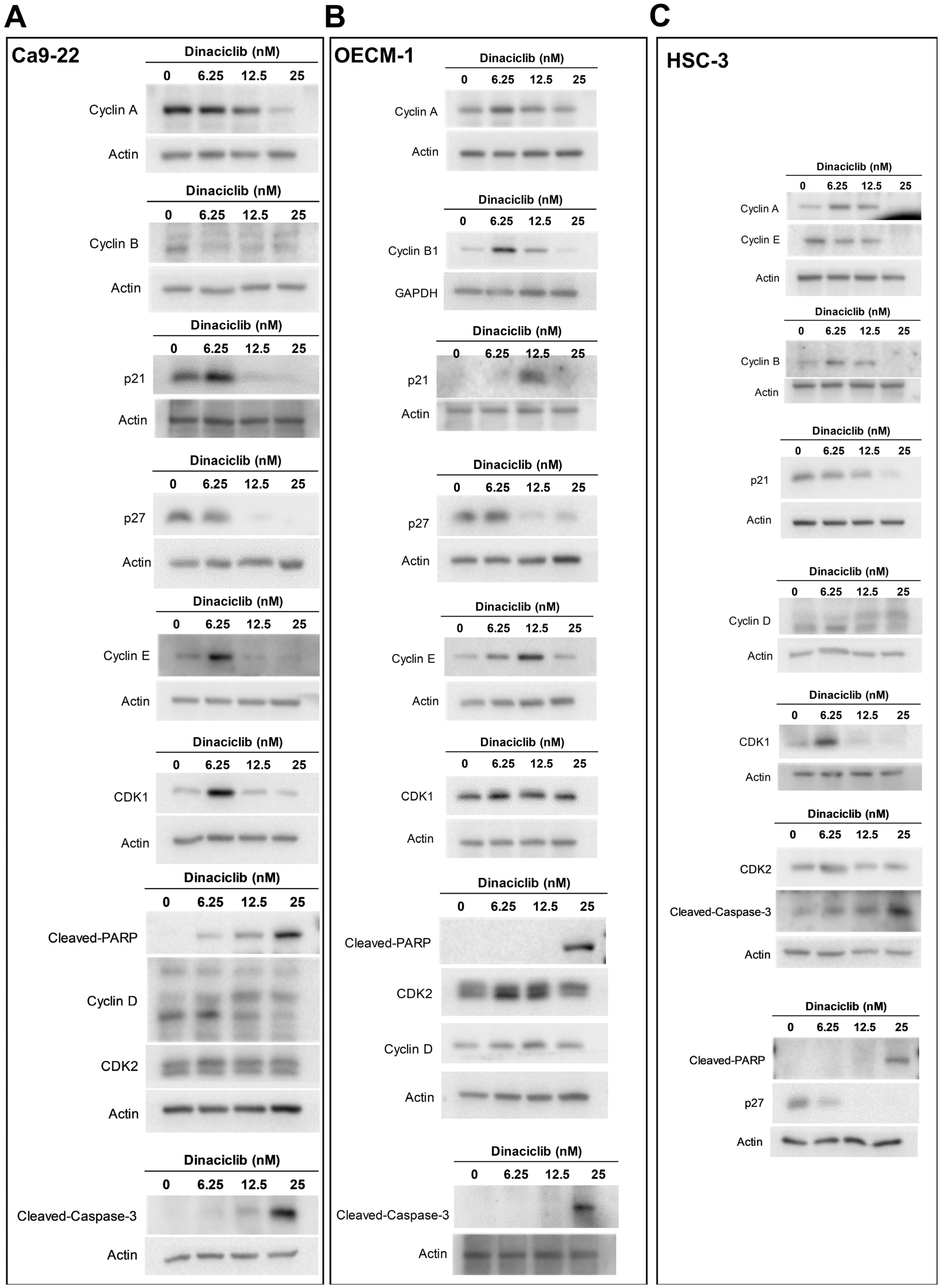 Ijms 26 02197 g005a Ijms 26 02197 g005a