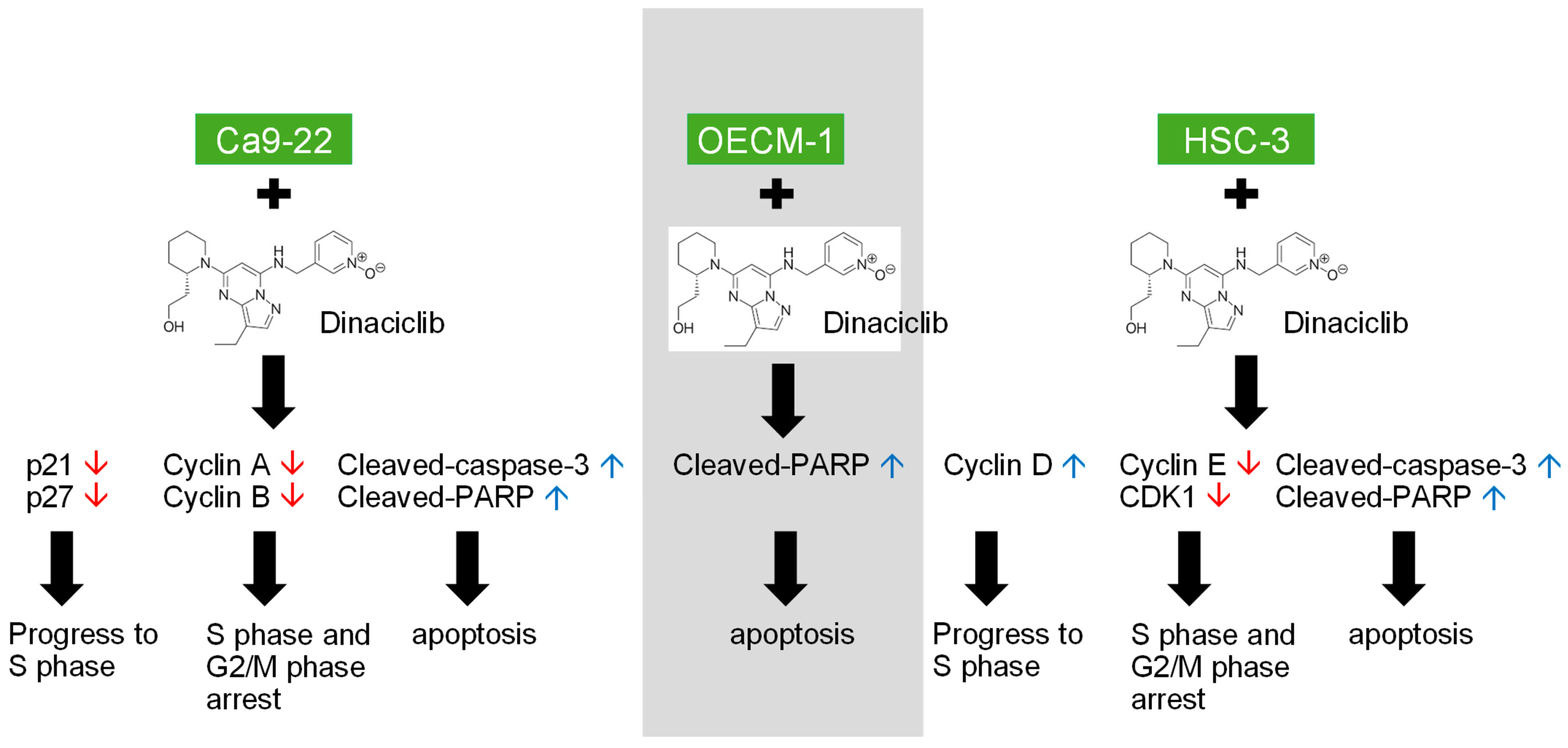 Ijms 26 02197 g006 Ijms 26 02197 g006