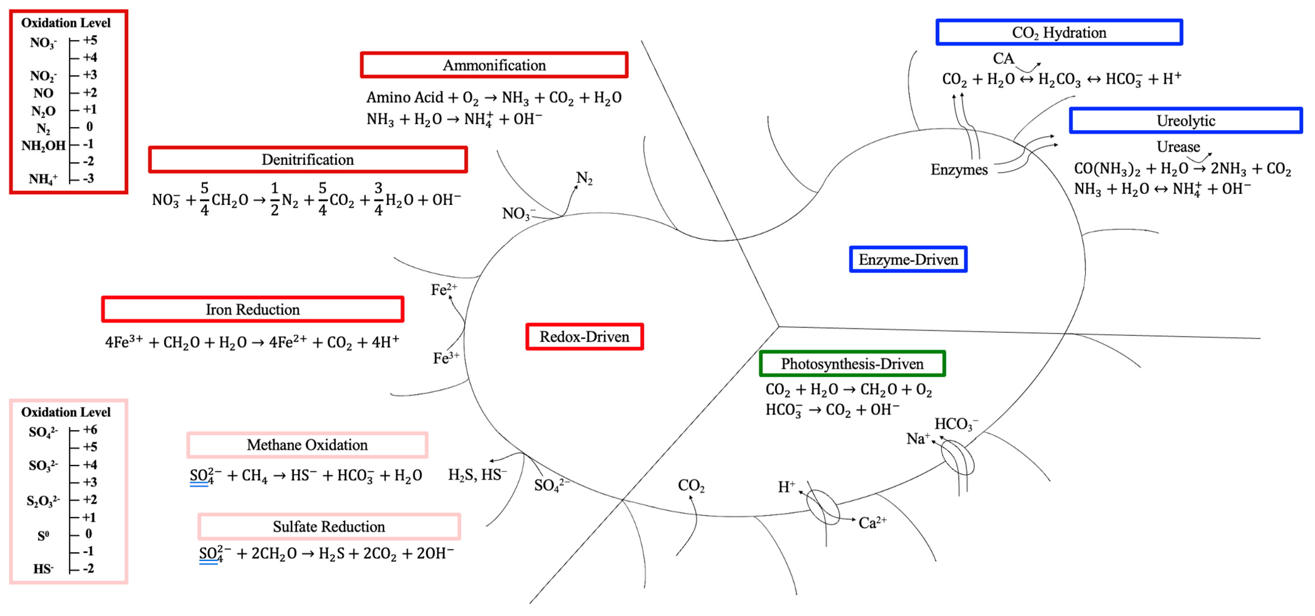 Ijms 26 02230 g002 Ijms 26 02230 g002