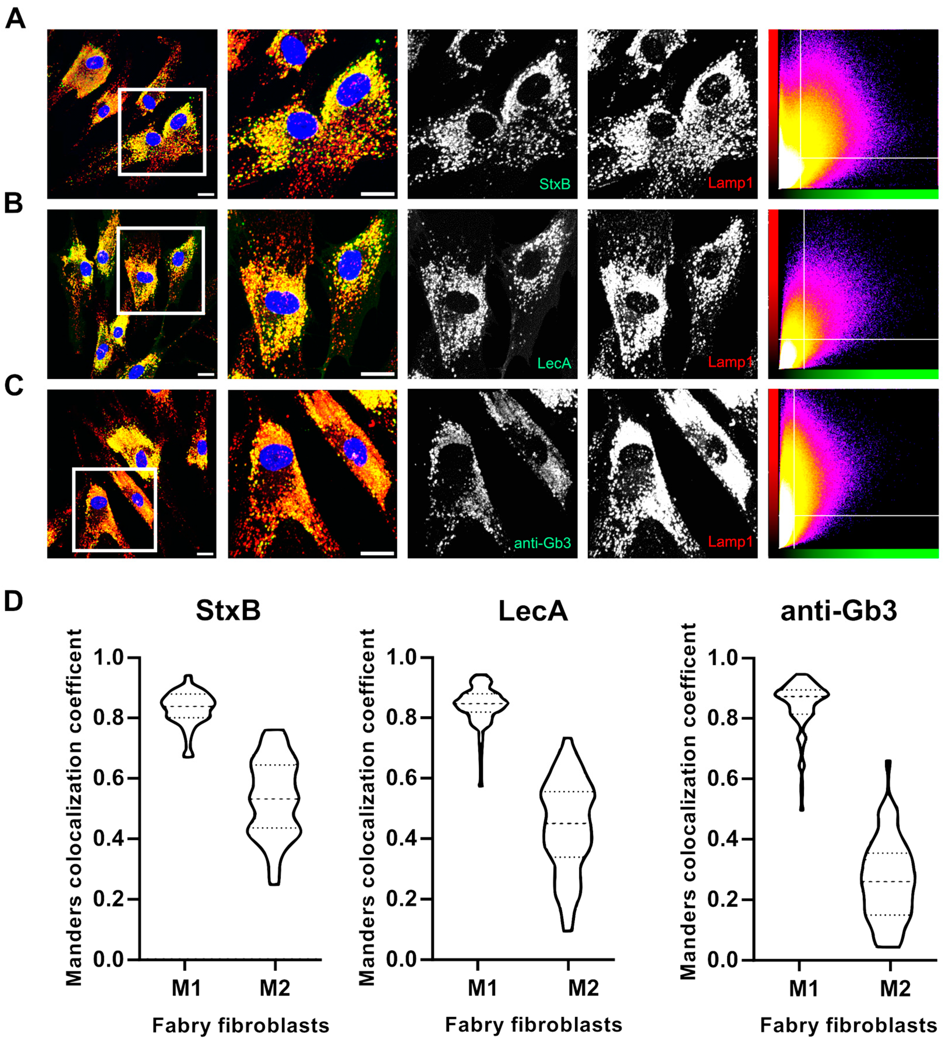 Ijms 26 02272 g005 Ijms 26 02272 g005