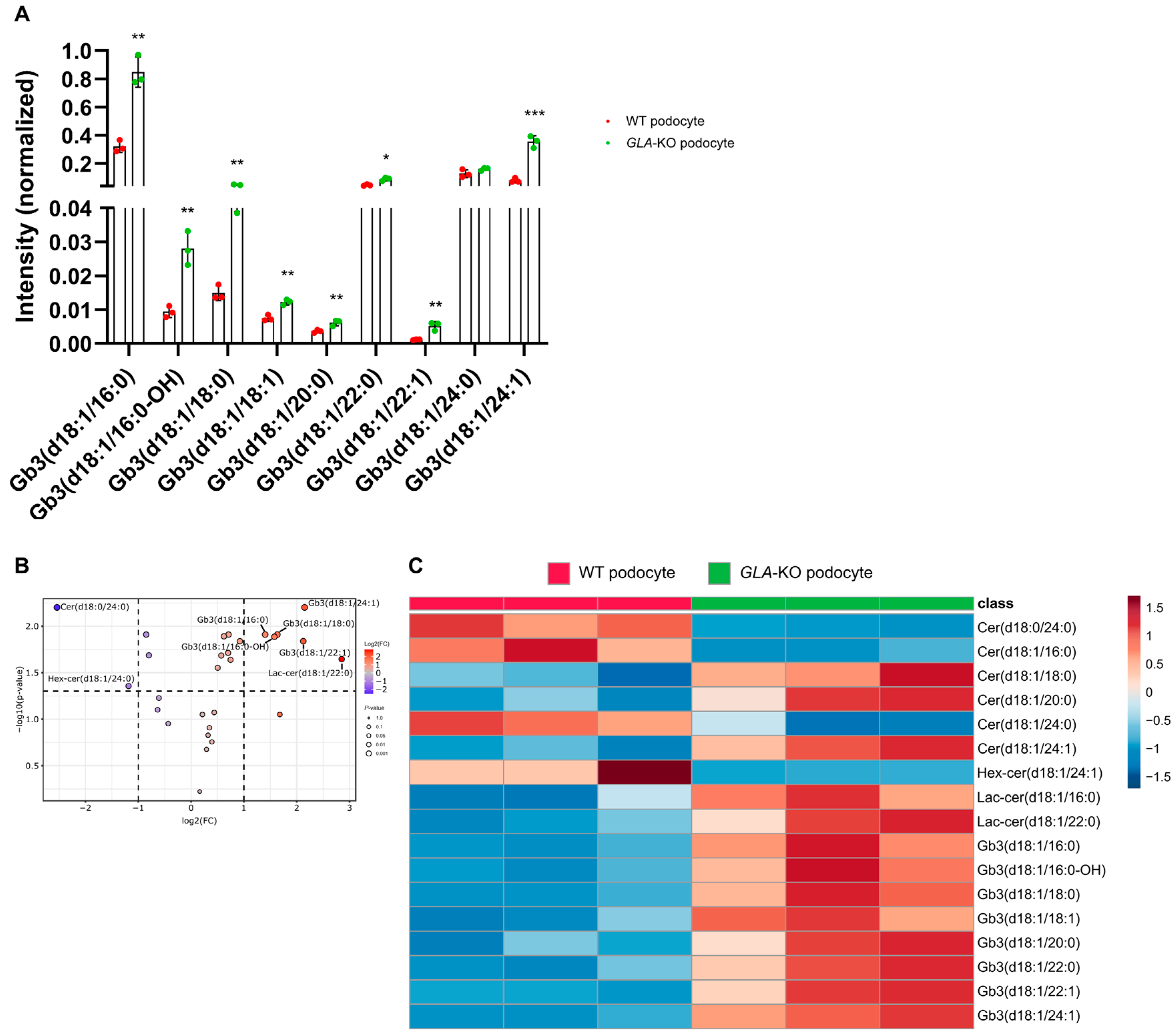 Ijms 26 02272 g007 Ijms 26 02272 g007