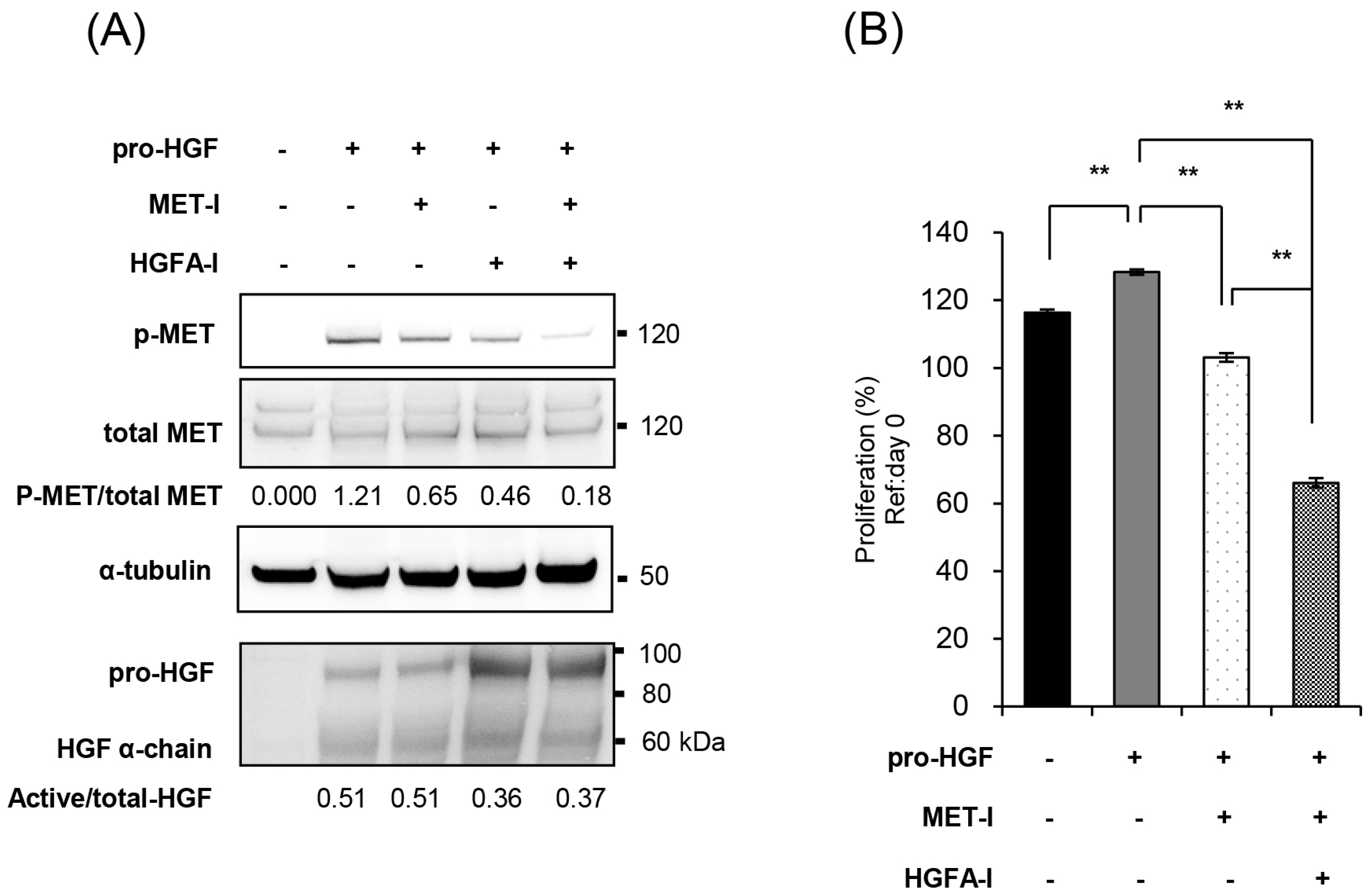 Ijms 26 02308 g003 Ijms 26 02308 g003