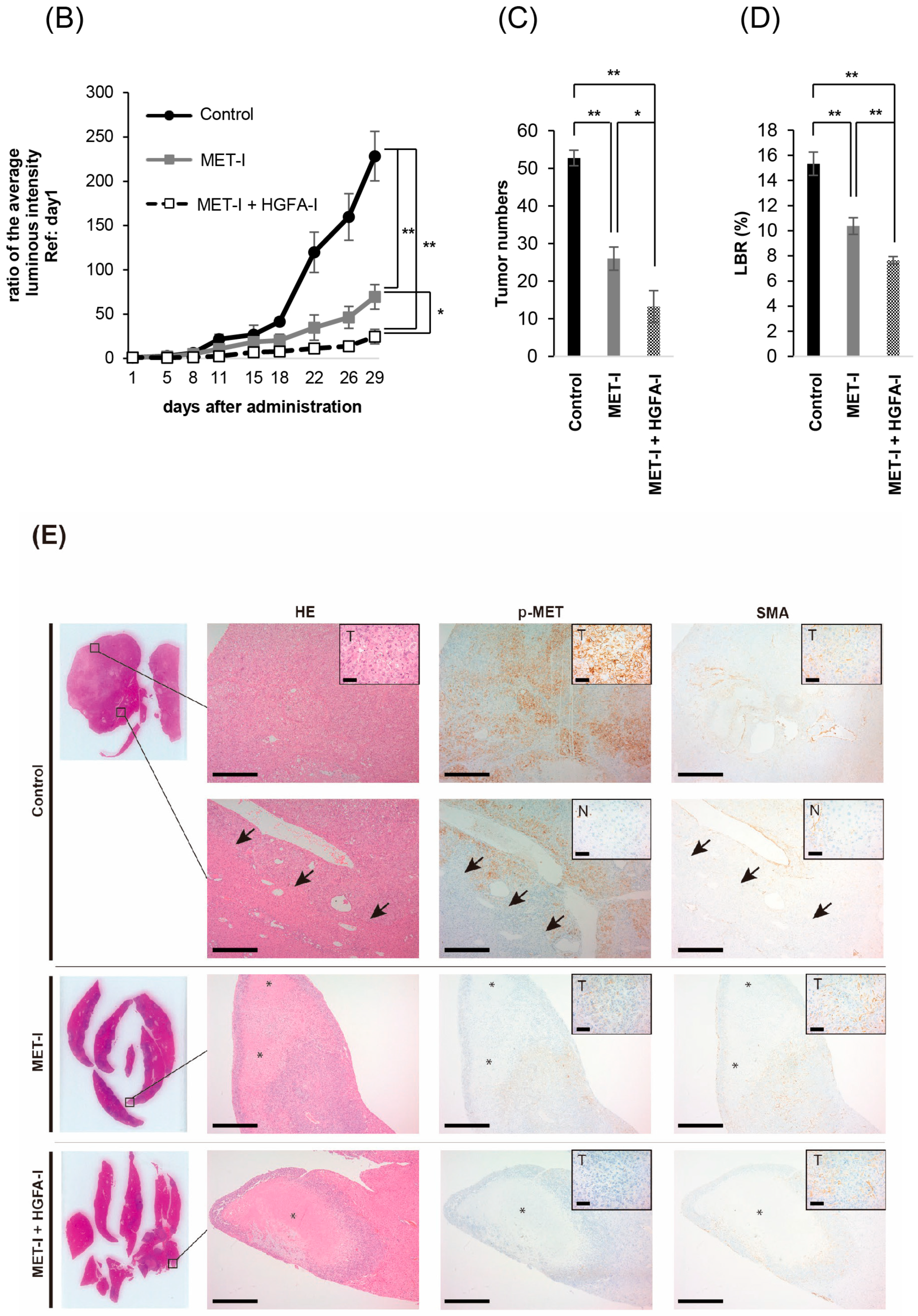 Ijms 26 02308 g004b Ijms 26 02308 g004b