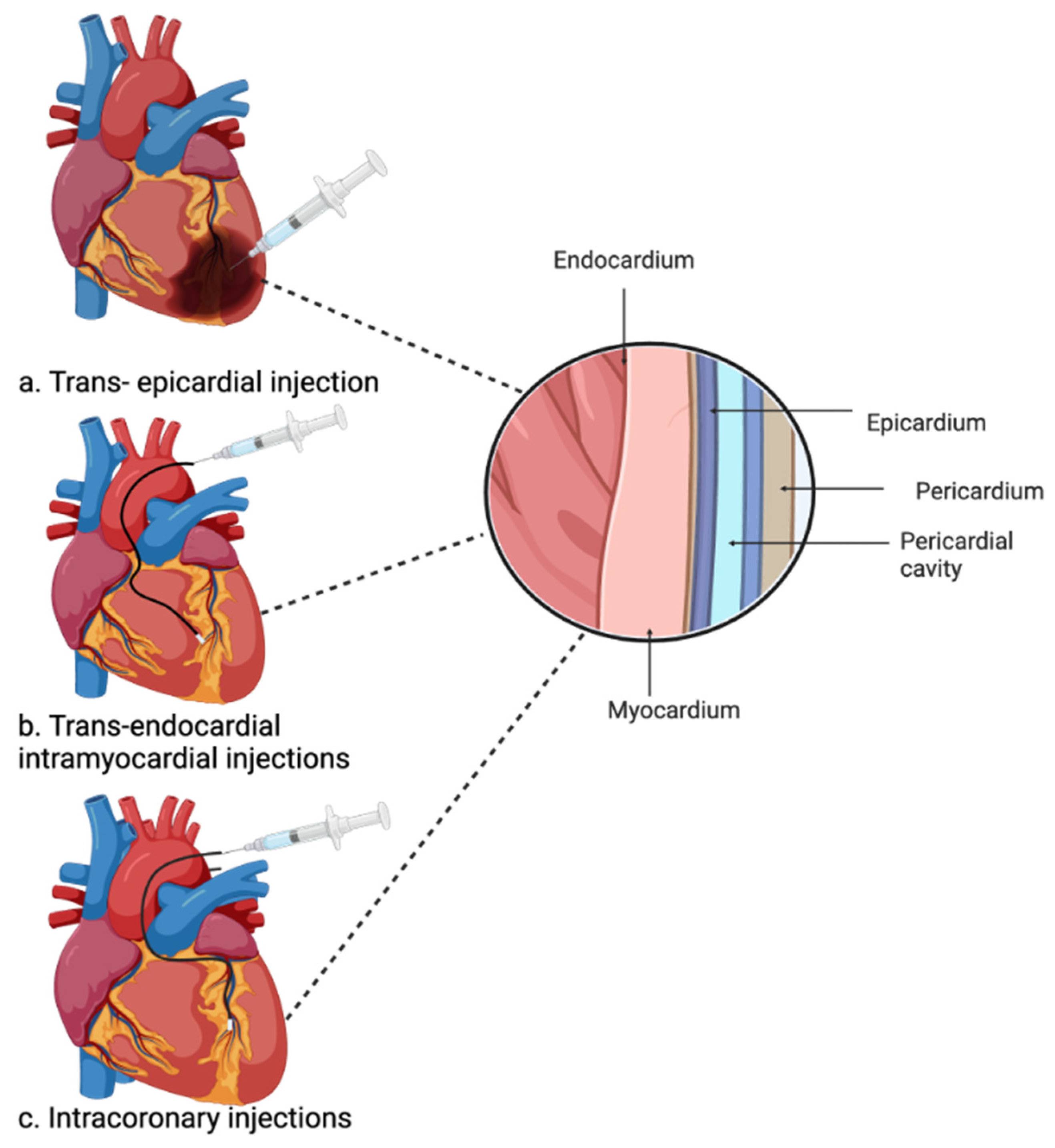 Ijms 26 02309 g003 Ijms 26 02309 g003